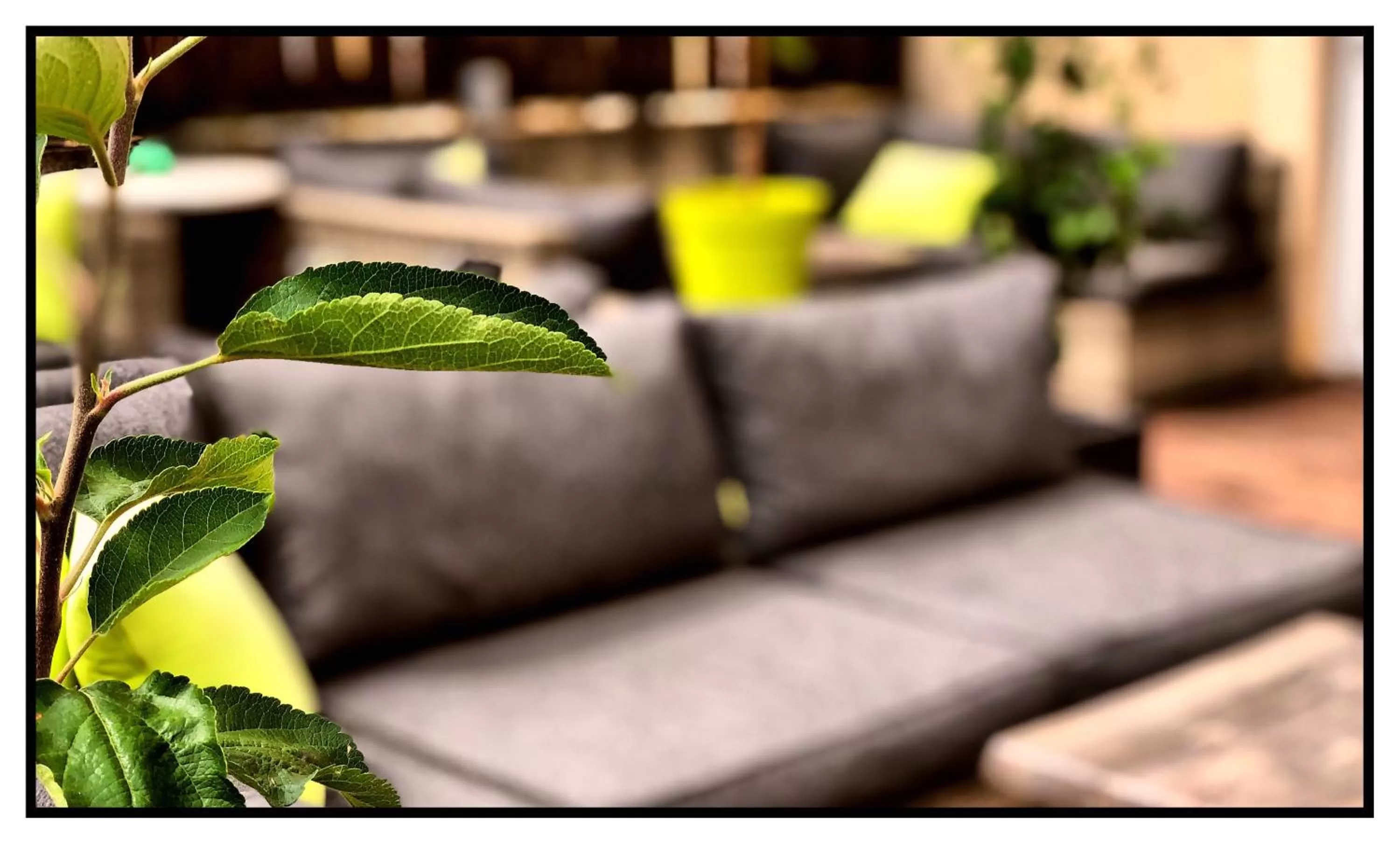 Patio in Dupain & Dubeurre Appart'Hôtel - Parking