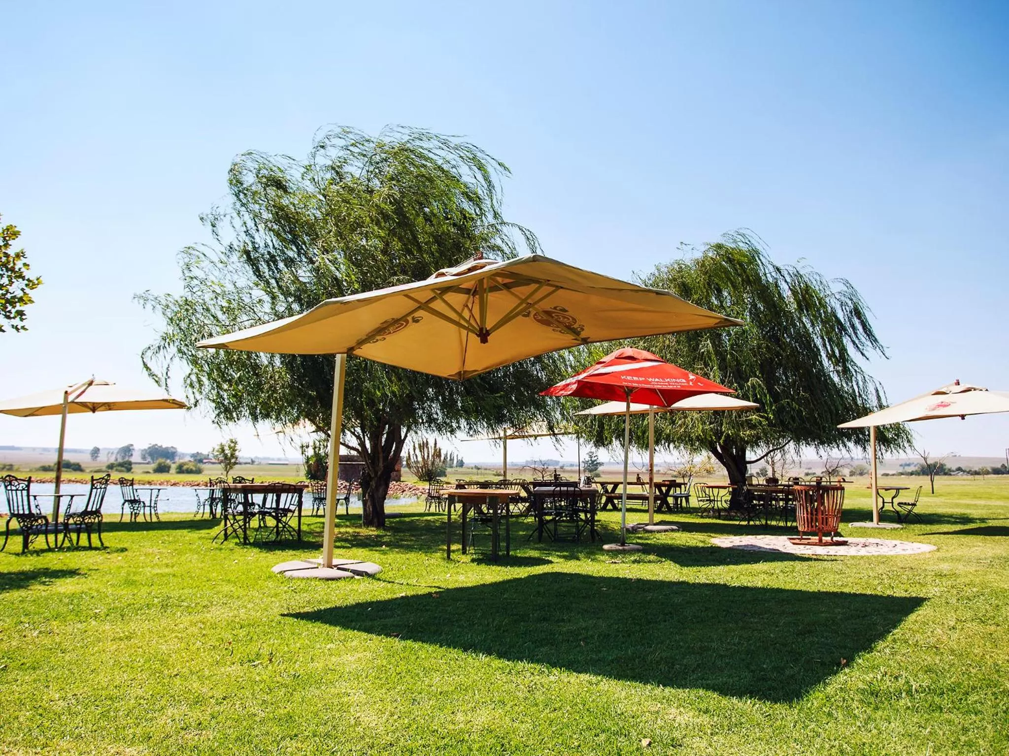 Restaurant/places to eat, Patio/Outdoor Area in Rustique Boutique Hotel