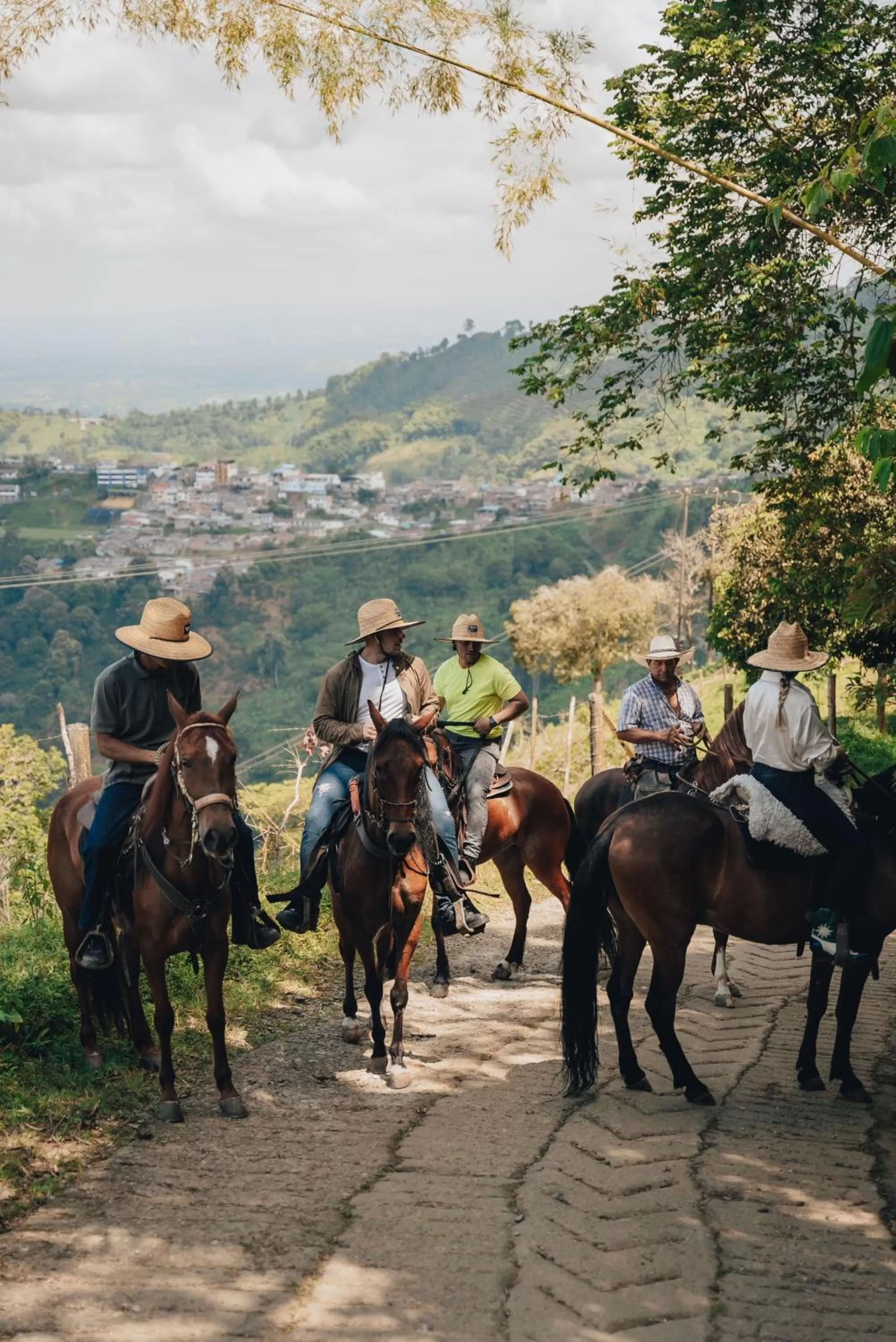 Horse-riding, Horseback Riding in La Cima Eco Hotel