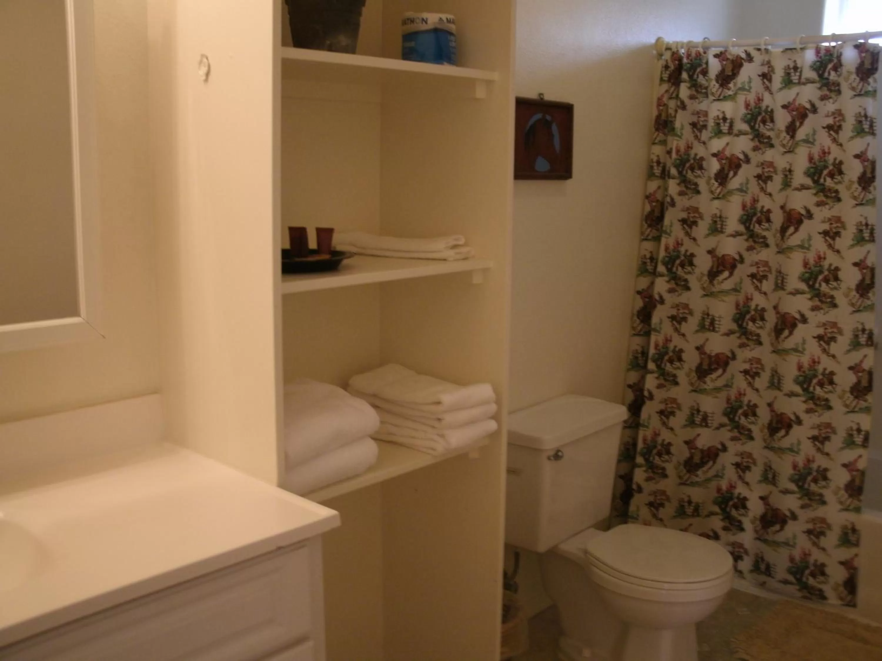 Bathroom in Virginia City Inn