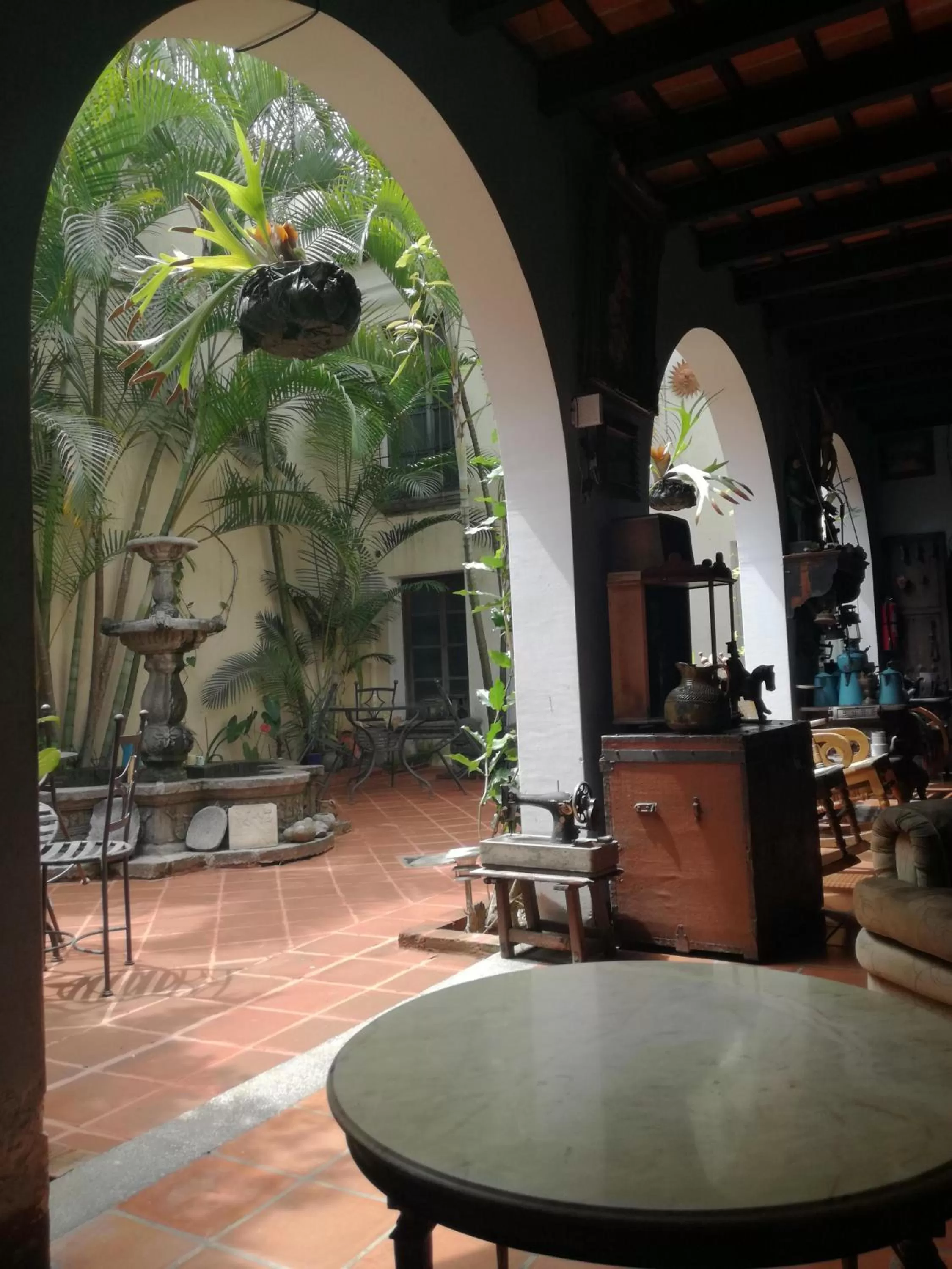 Patio, Restaurant/Places to Eat in Posada San Sebastian