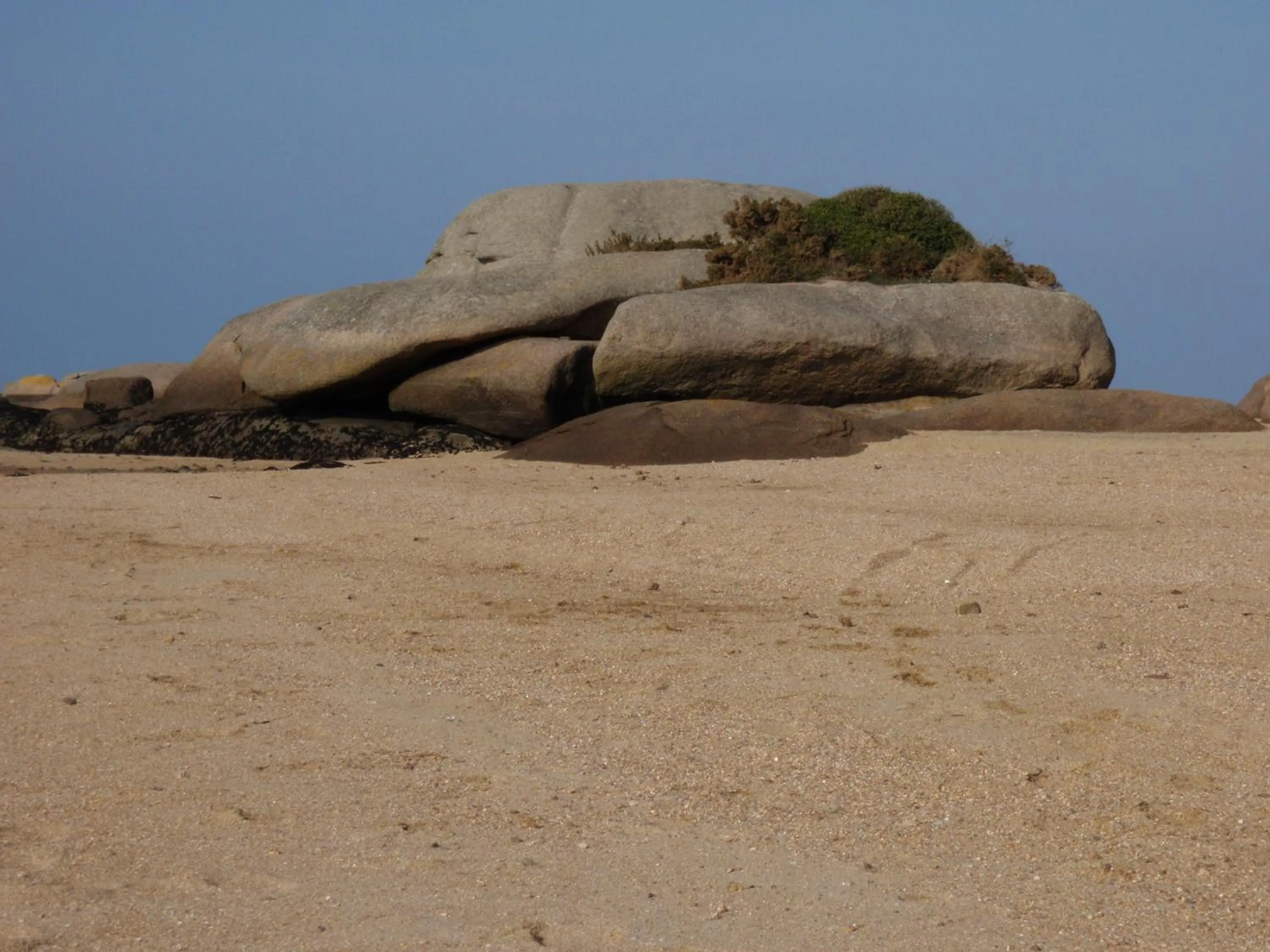 Area and facilities in Citotel Les Sternes