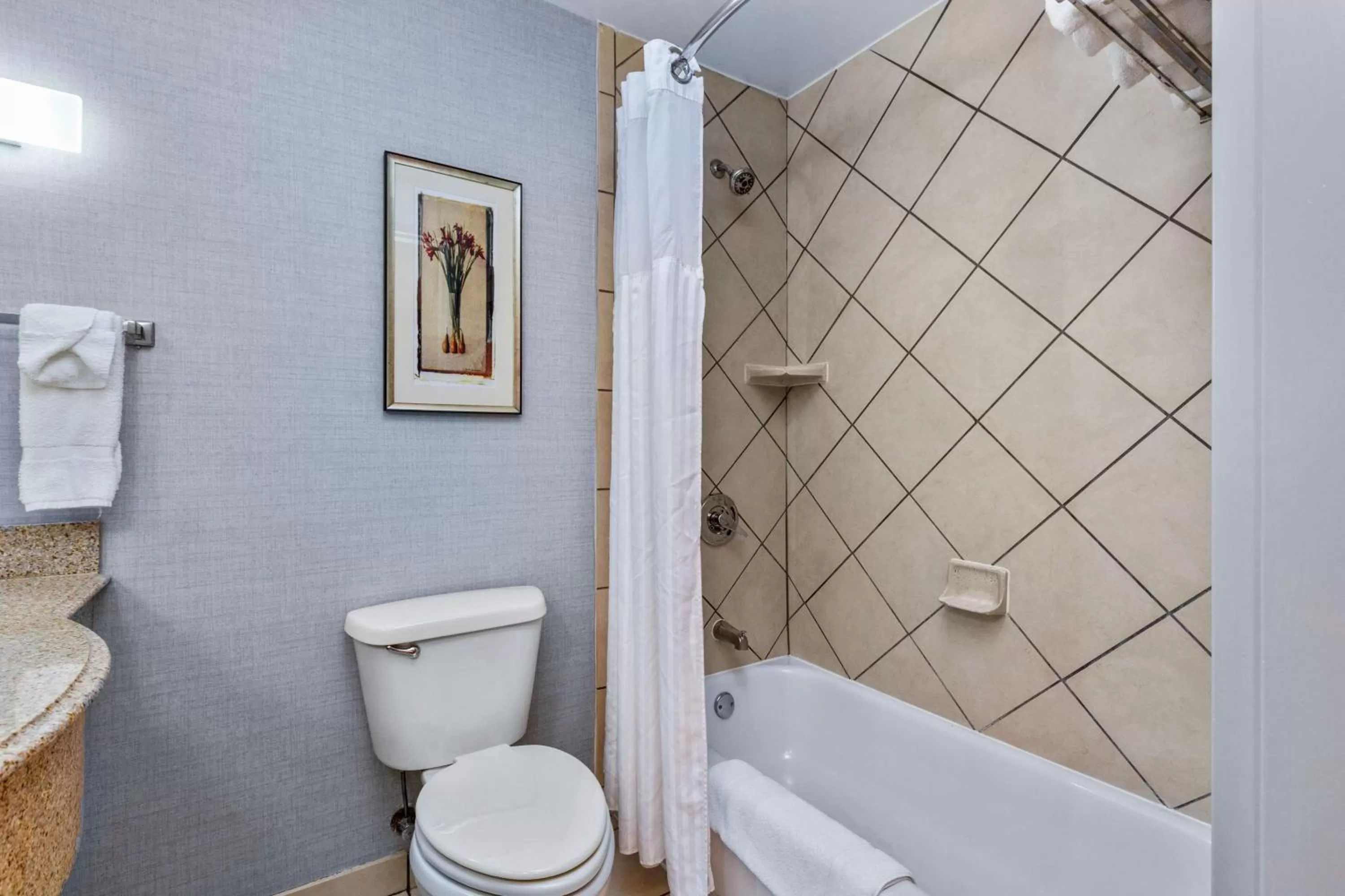 Bathroom in Hilton Garden Inn Starkville