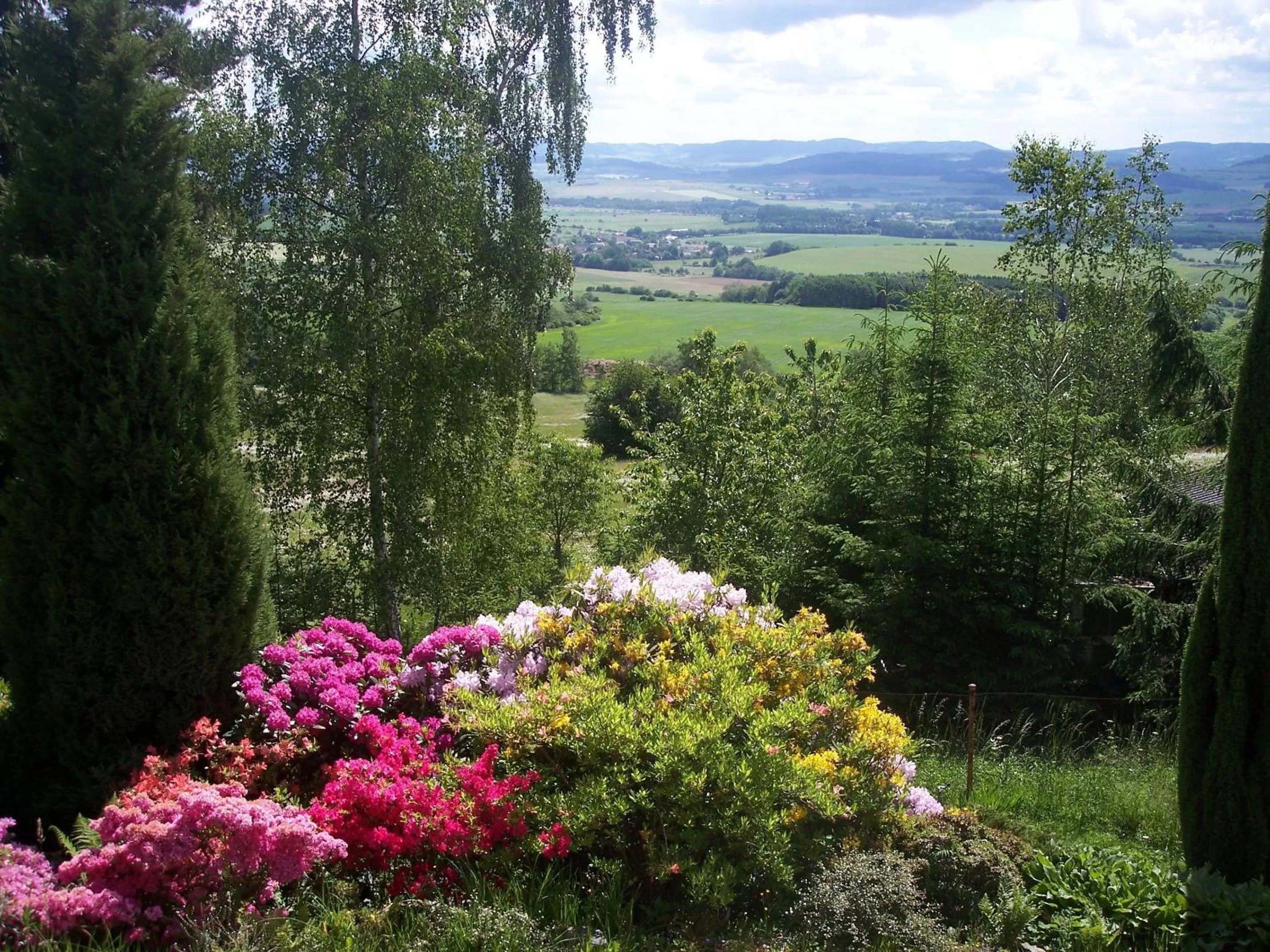 Spring in Wellness Hotel Central