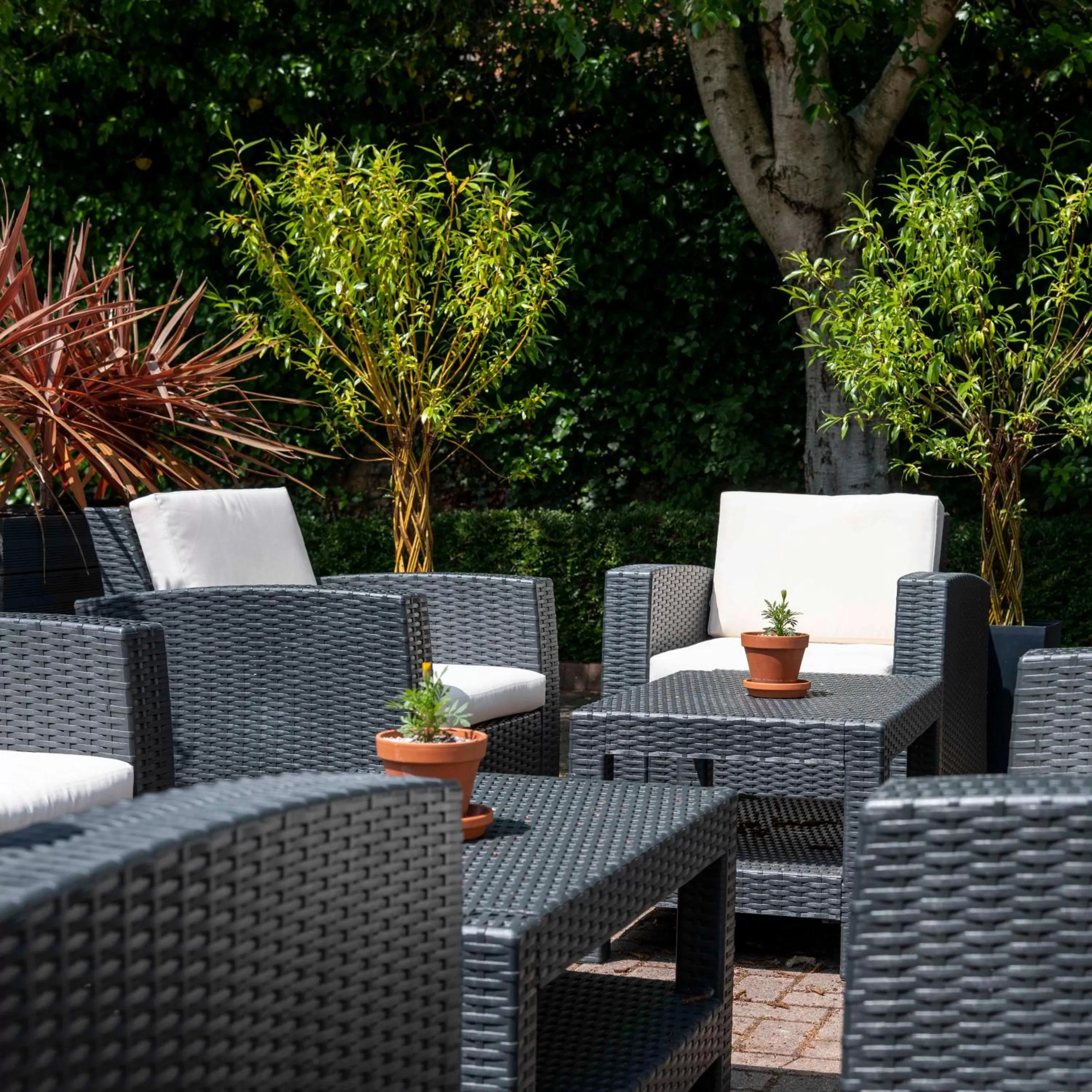 Property building in Wisteria Hotel