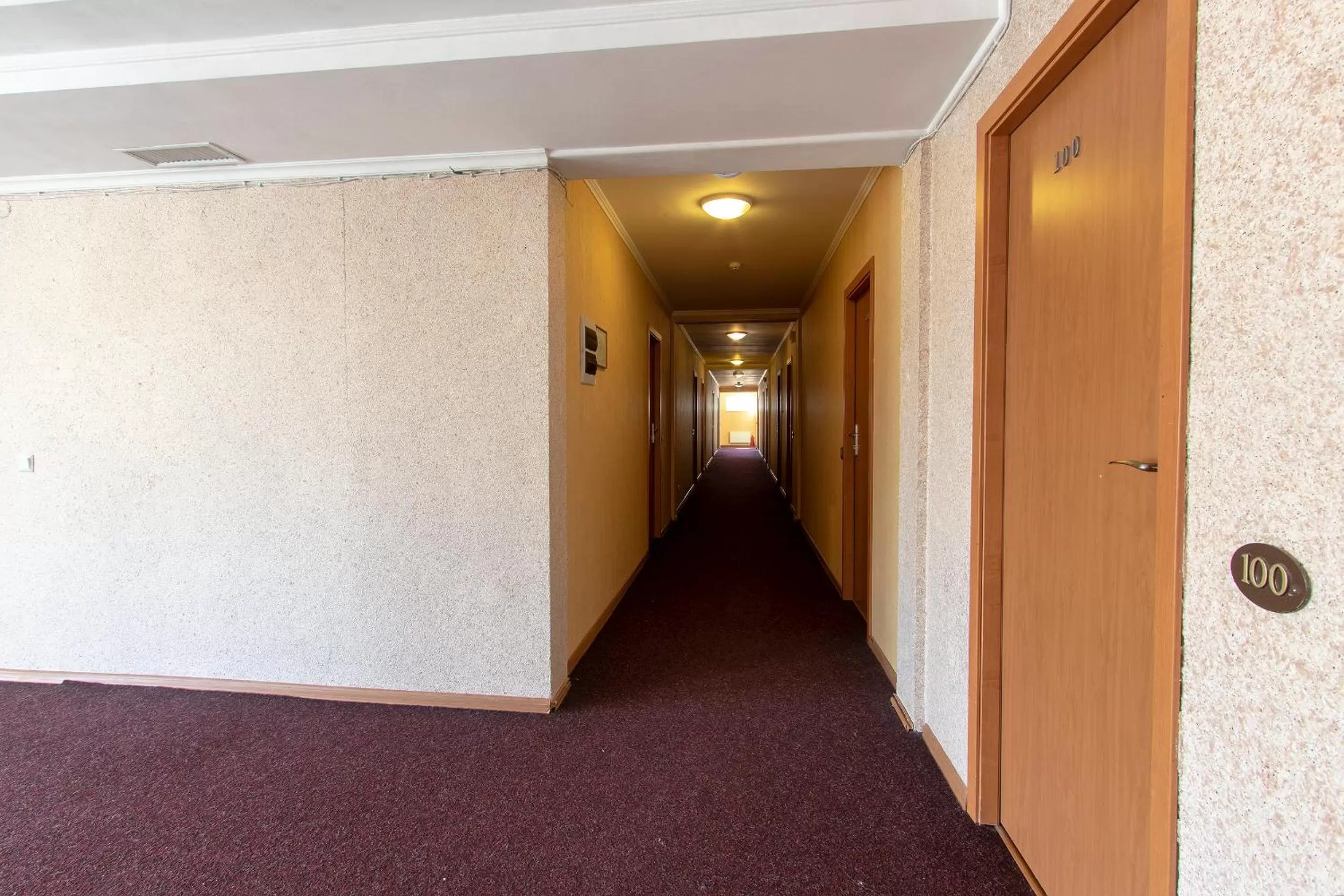 Property building in Terem