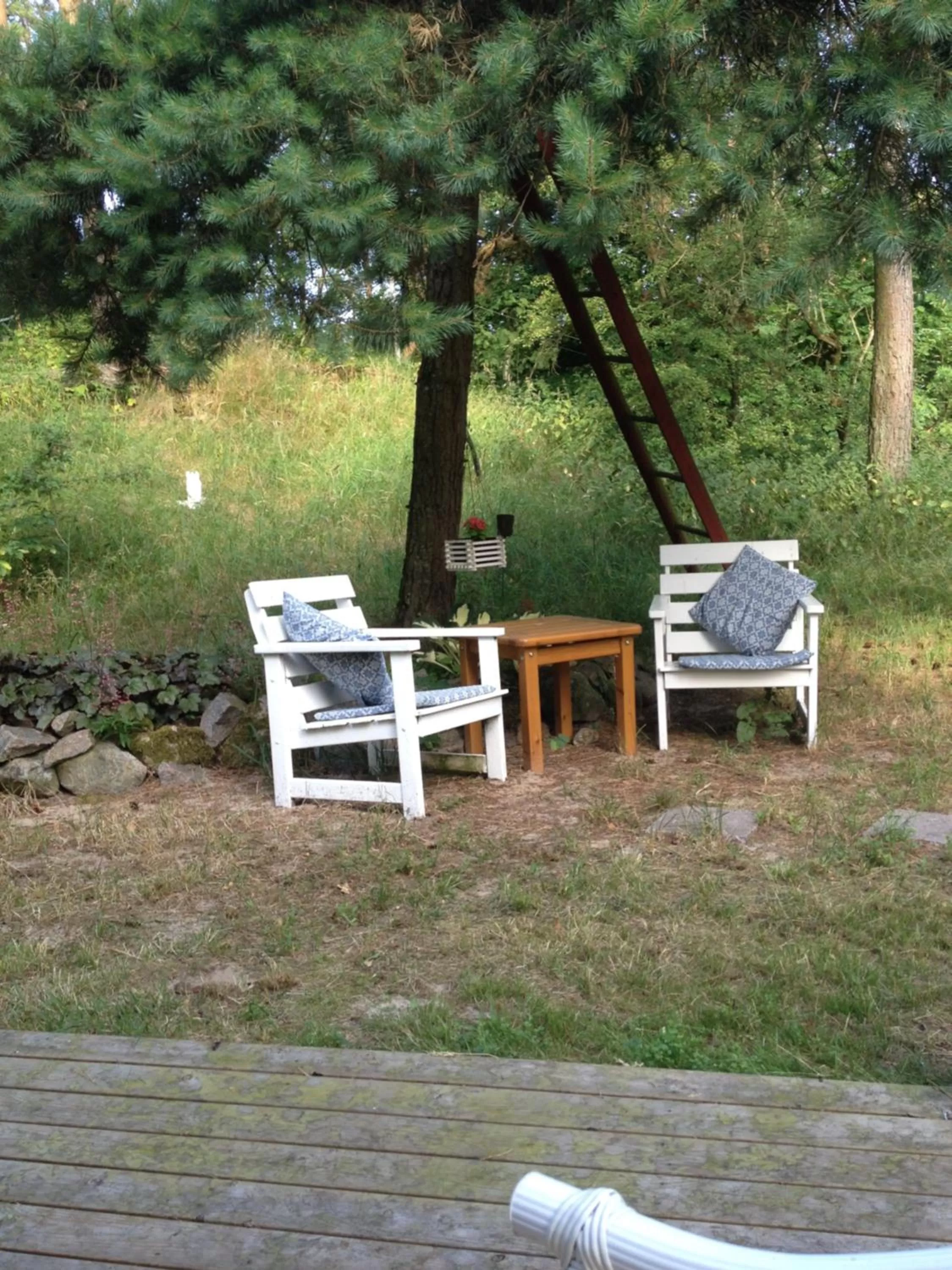 Garden in skummeslöv B & B