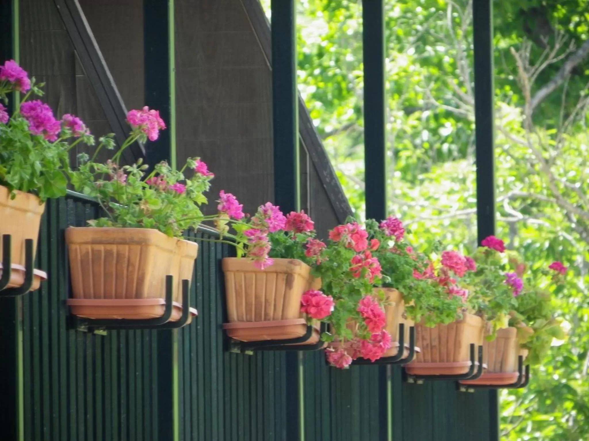 Day in Hotel Apartamento Rural Finca La Media Legua