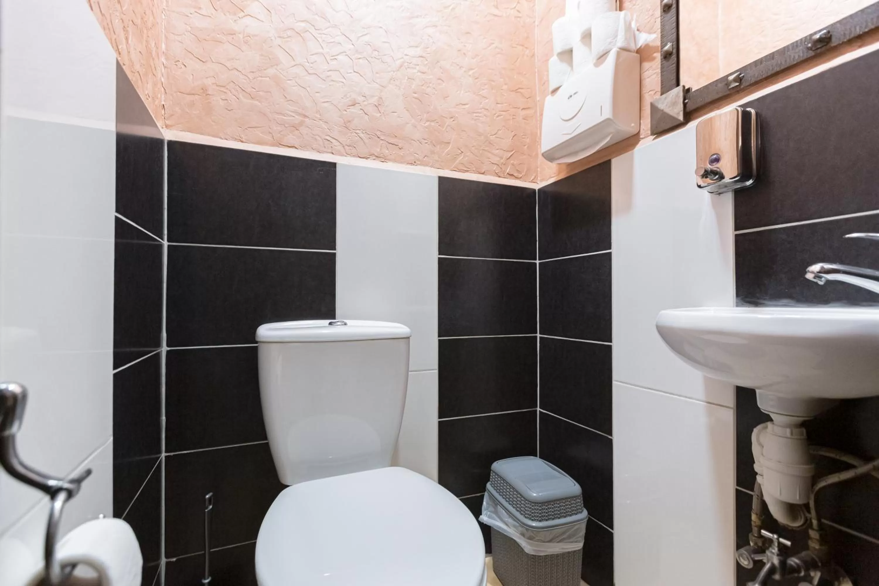 Bathroom in Staryi Krakiv