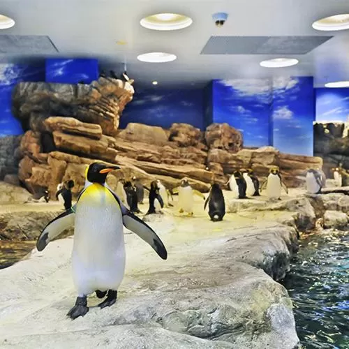 Other in Smile Hotel Shimonoseki