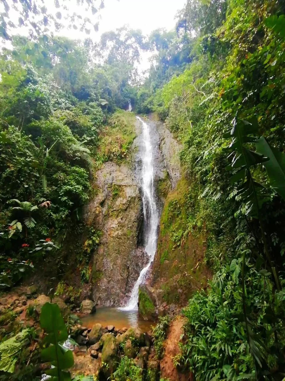 Natural Landscape in Villa Cristina - Casa Boutique