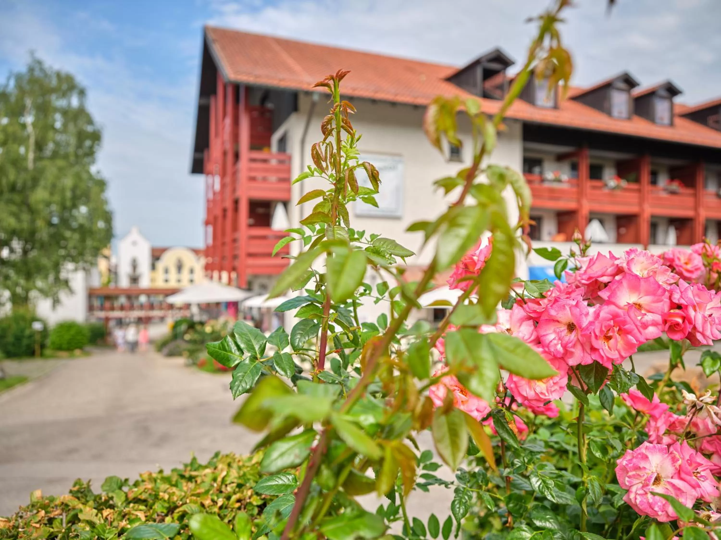 Property Building in Appartement-Haus Blumenhof