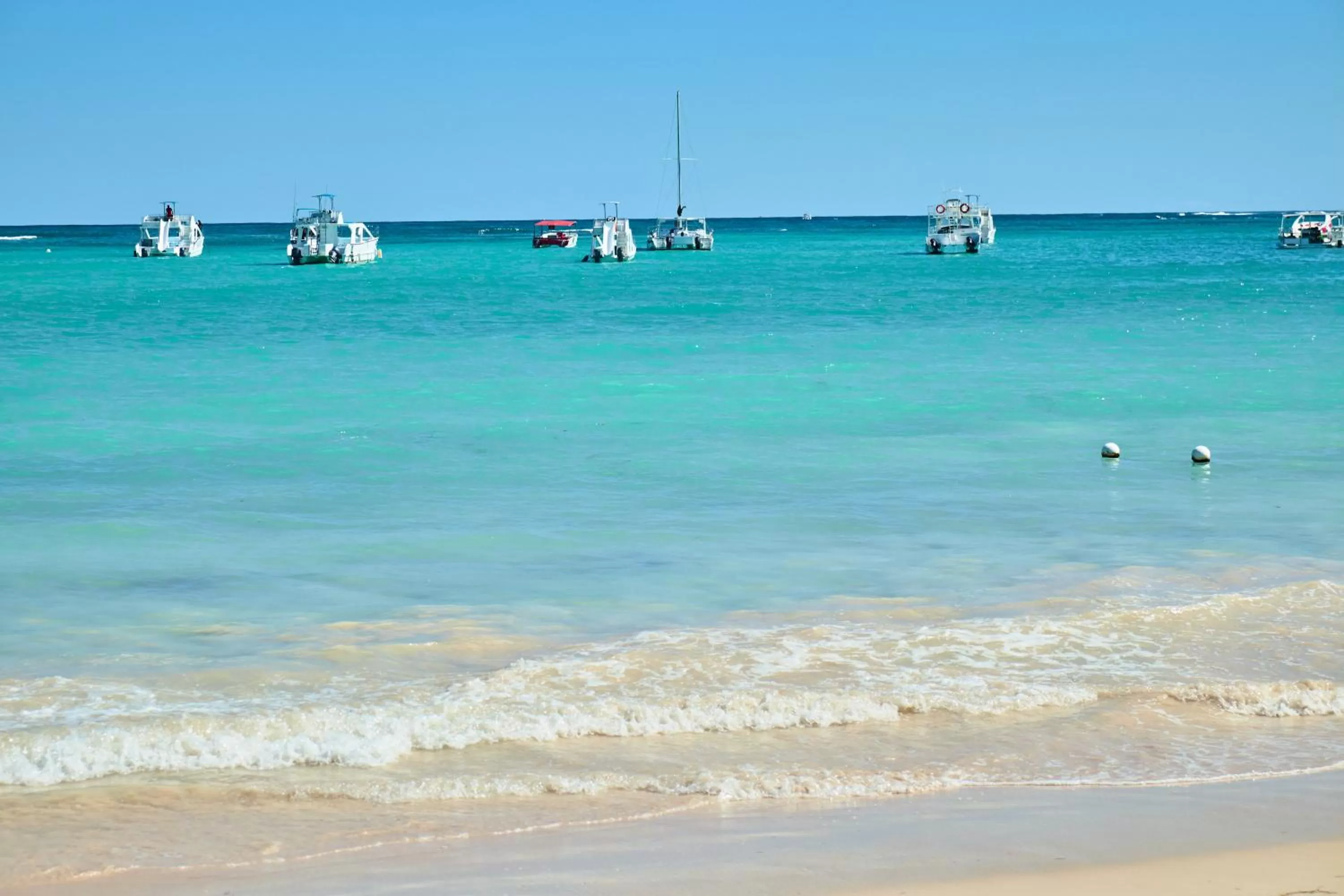 Natural landscape in Flor del Mar Condo Punta Cana Beachfront