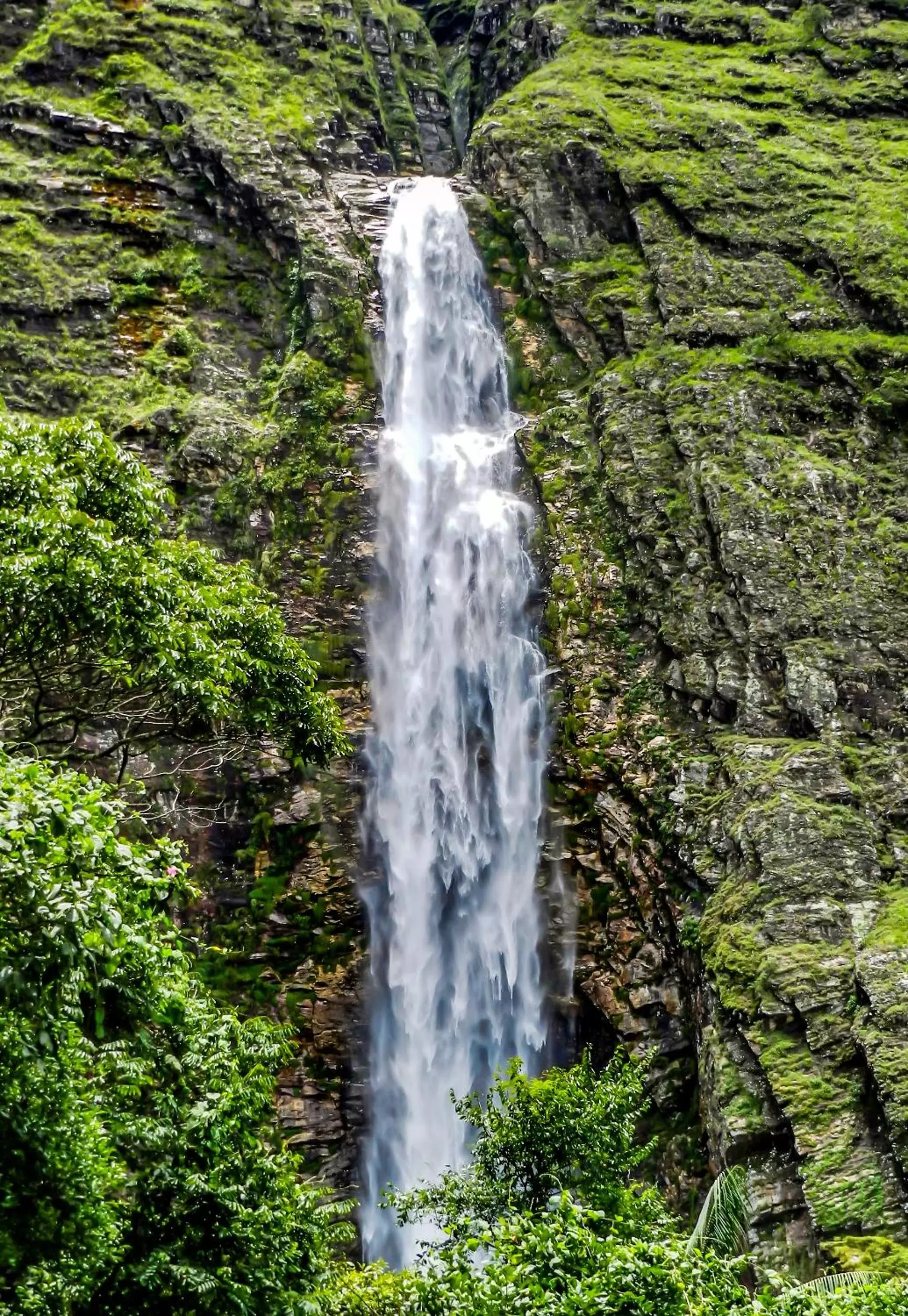 Natural Landscape in Suíte na Canastra