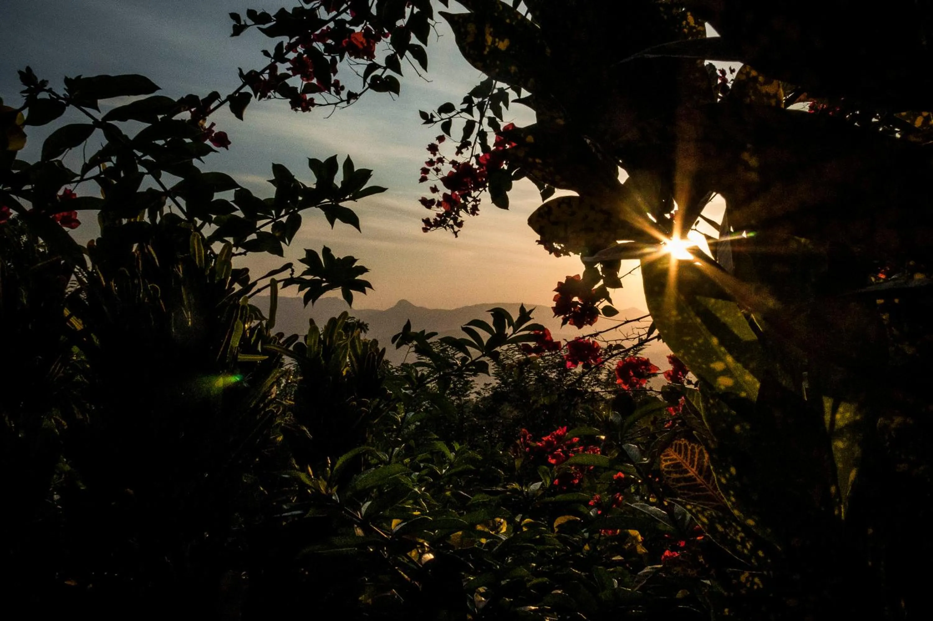 Mountain view in Yasmin Hill Longevity Oasis