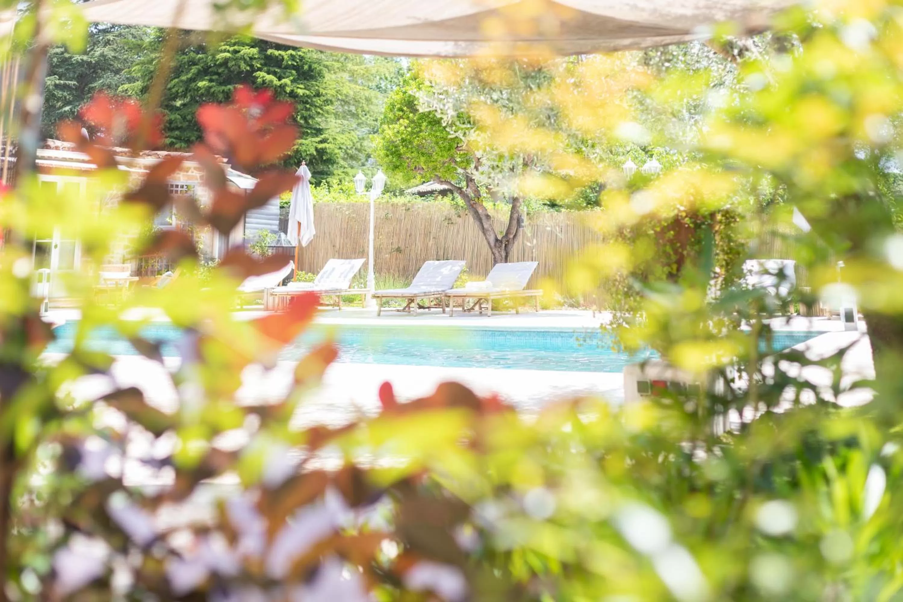 Patio in La Bastide du Mûrier