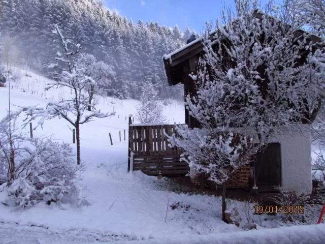 Facade/entrance, Winter in Berggasthof Butzn Wirt