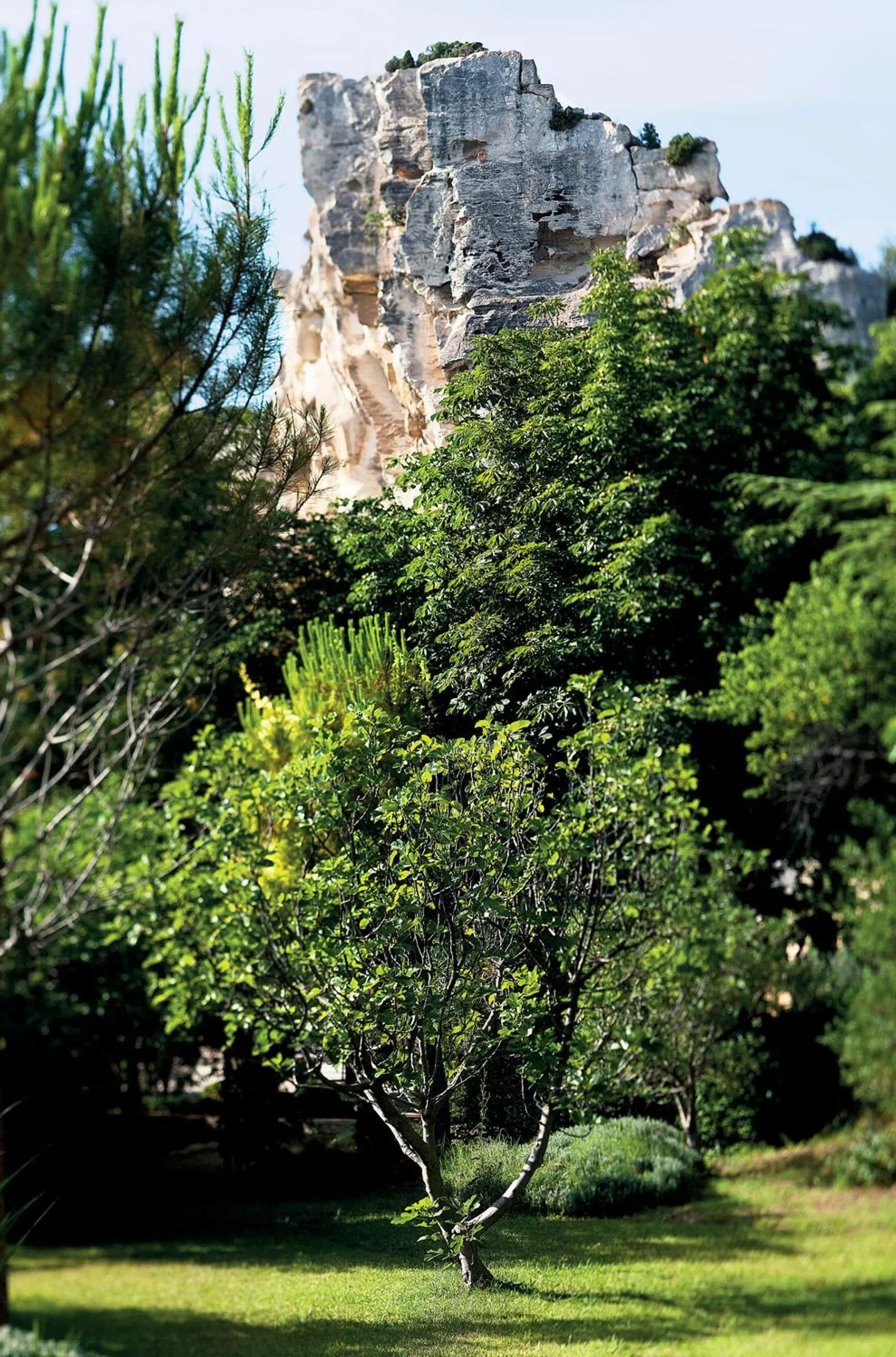 Garden in Baumanière - Les Baux de Provence