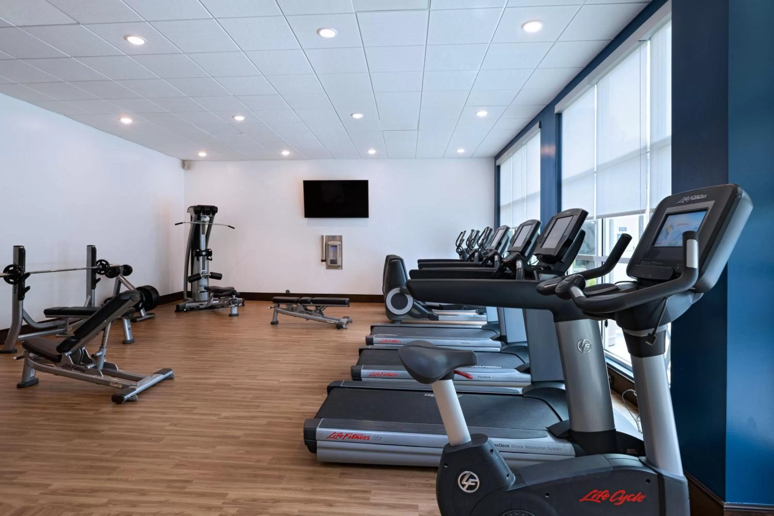 Fitness centre/facilities in Four Points by Sheraton Houston West