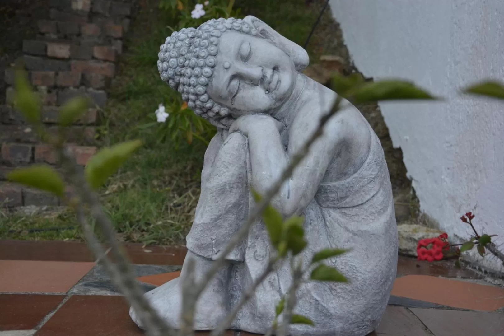 Garden in El Pedregal Sopó