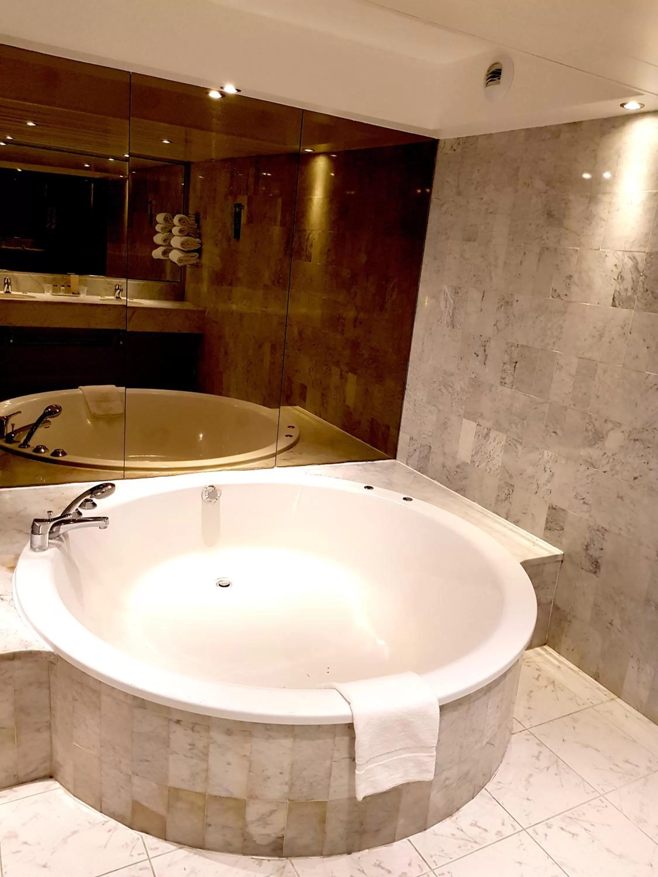 Bathroom in Kyriad Prestige Mulhouse - Basel