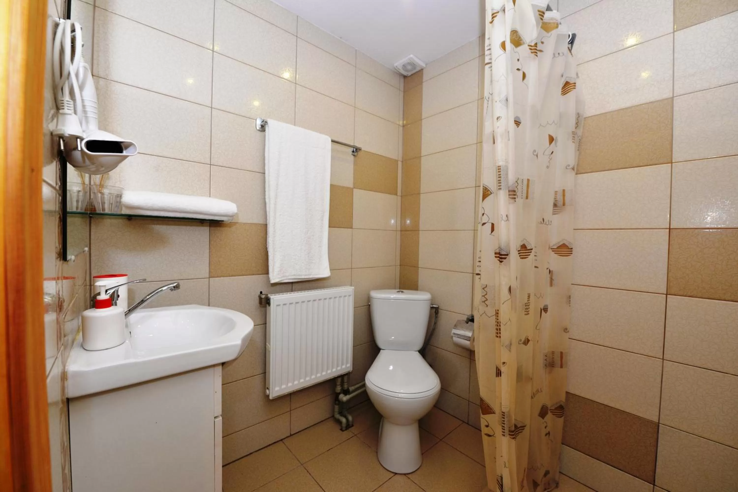 Shower, Bathroom in "Trakaitis" nameliai