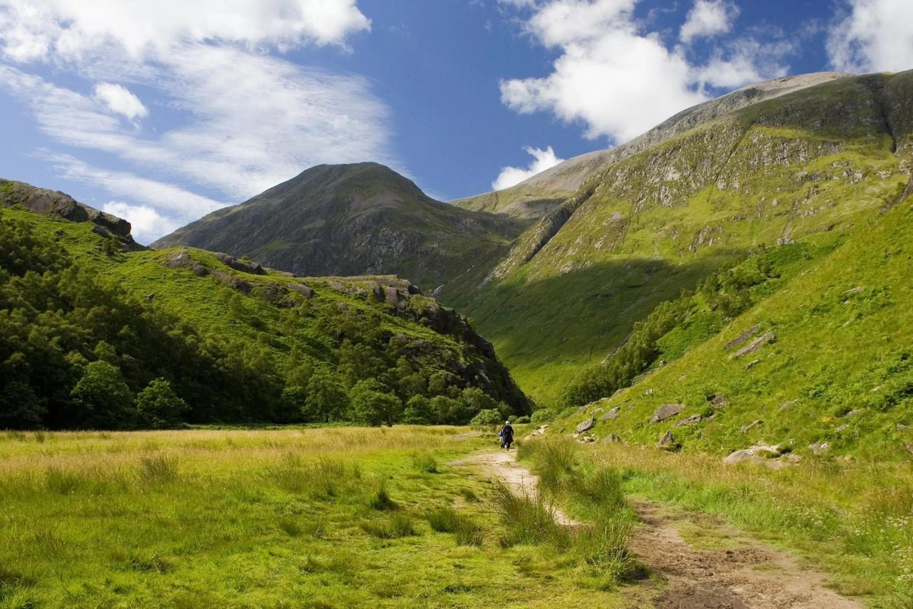 View (from property/room) in Alexandra Hotel