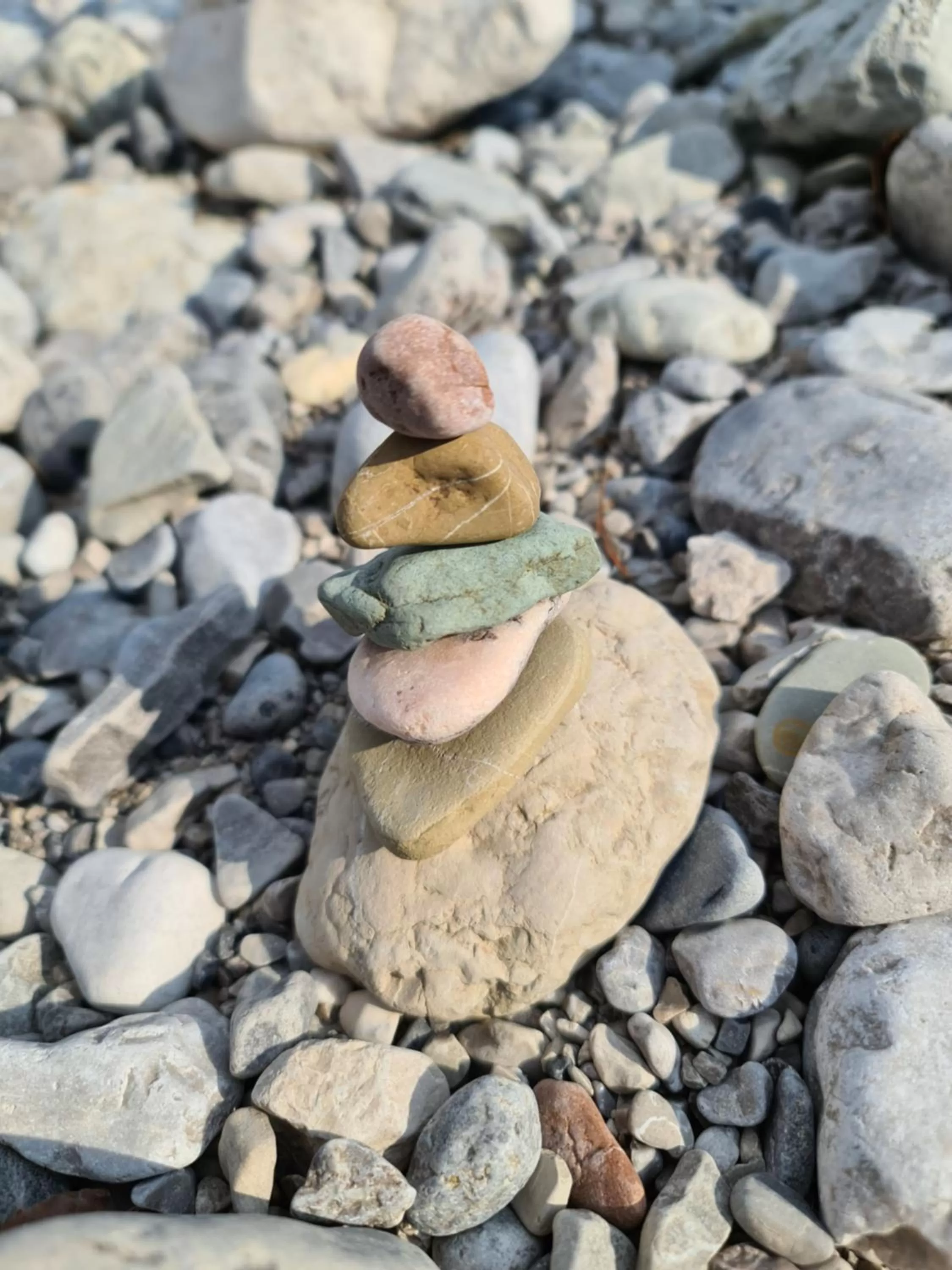 Activities in Ferienhaus und Landhaus Berger