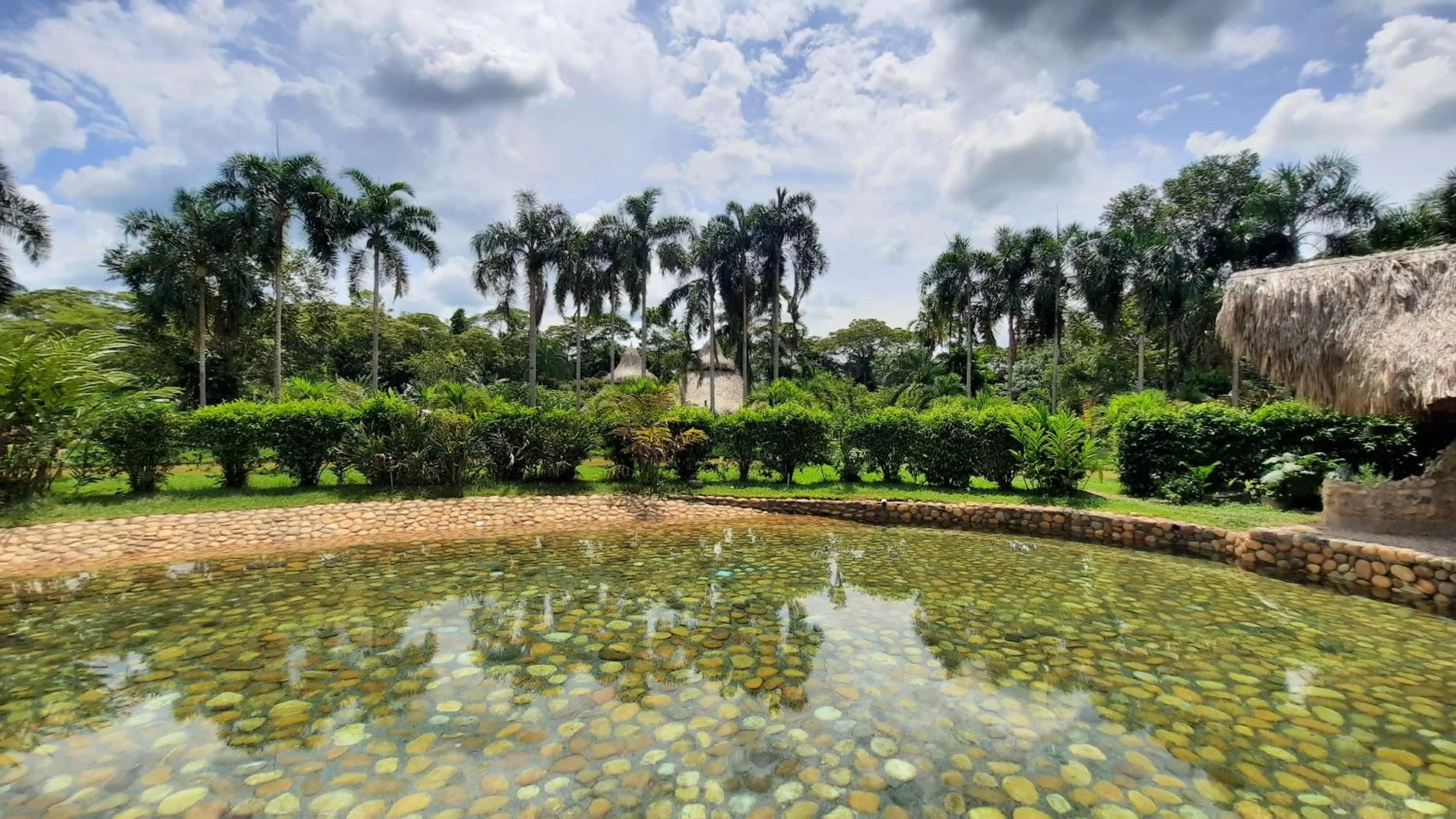 Swimming pool, Garden in Ecolodge Cosmogénesis