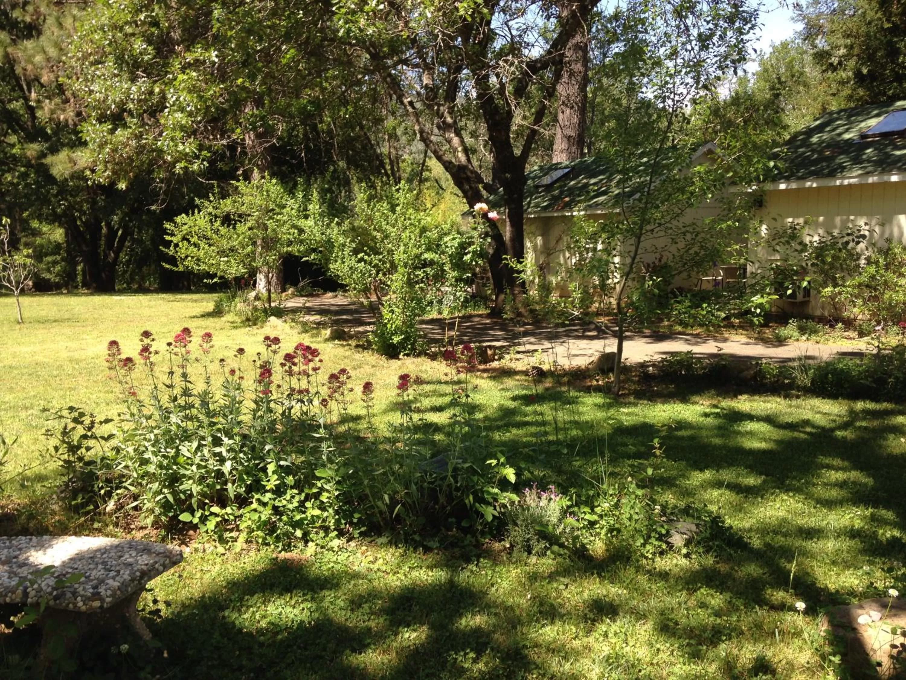 Property building, Garden in Backyard Garden Oasis