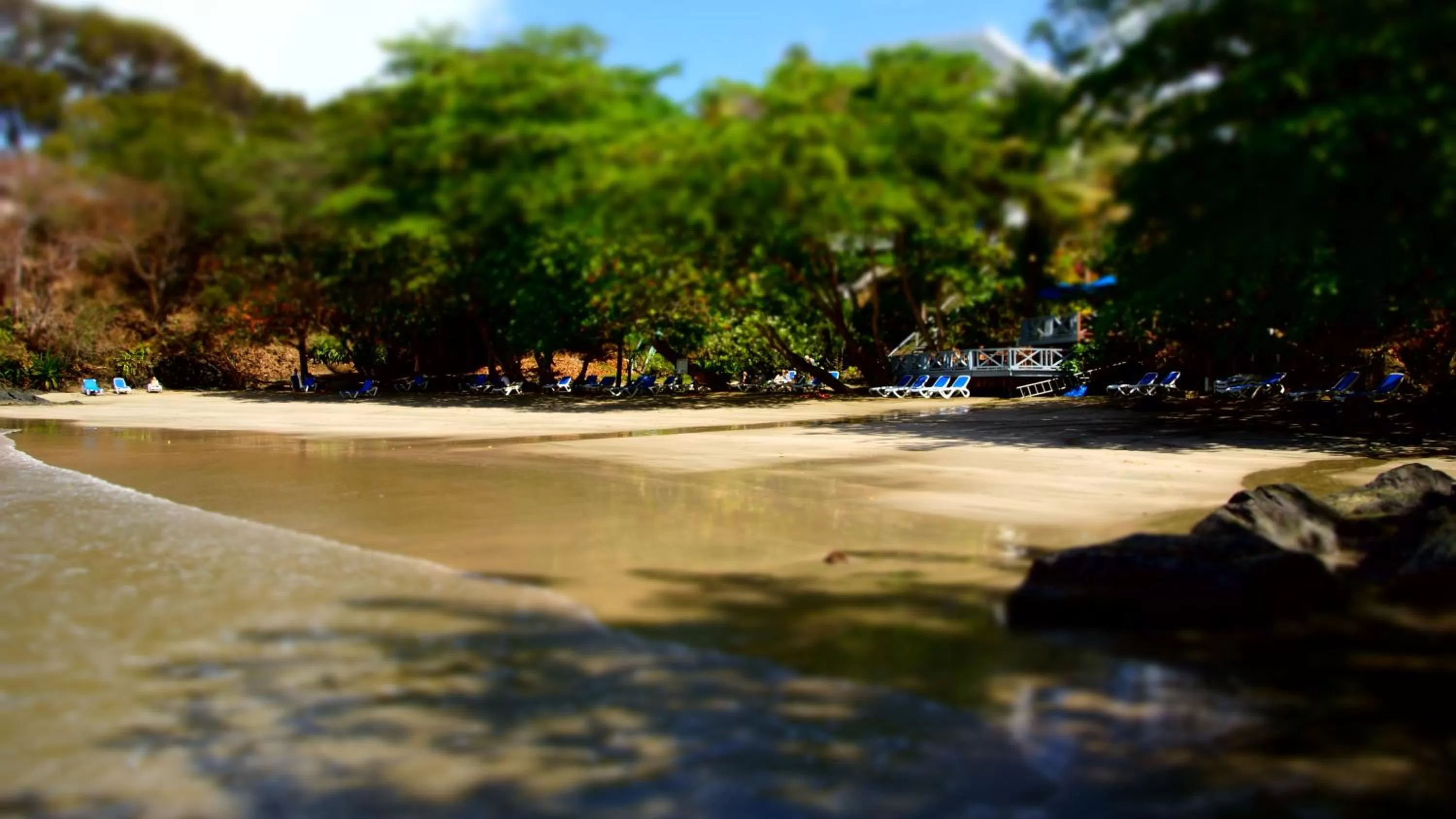 Beach in Half Moon Blue Hotel