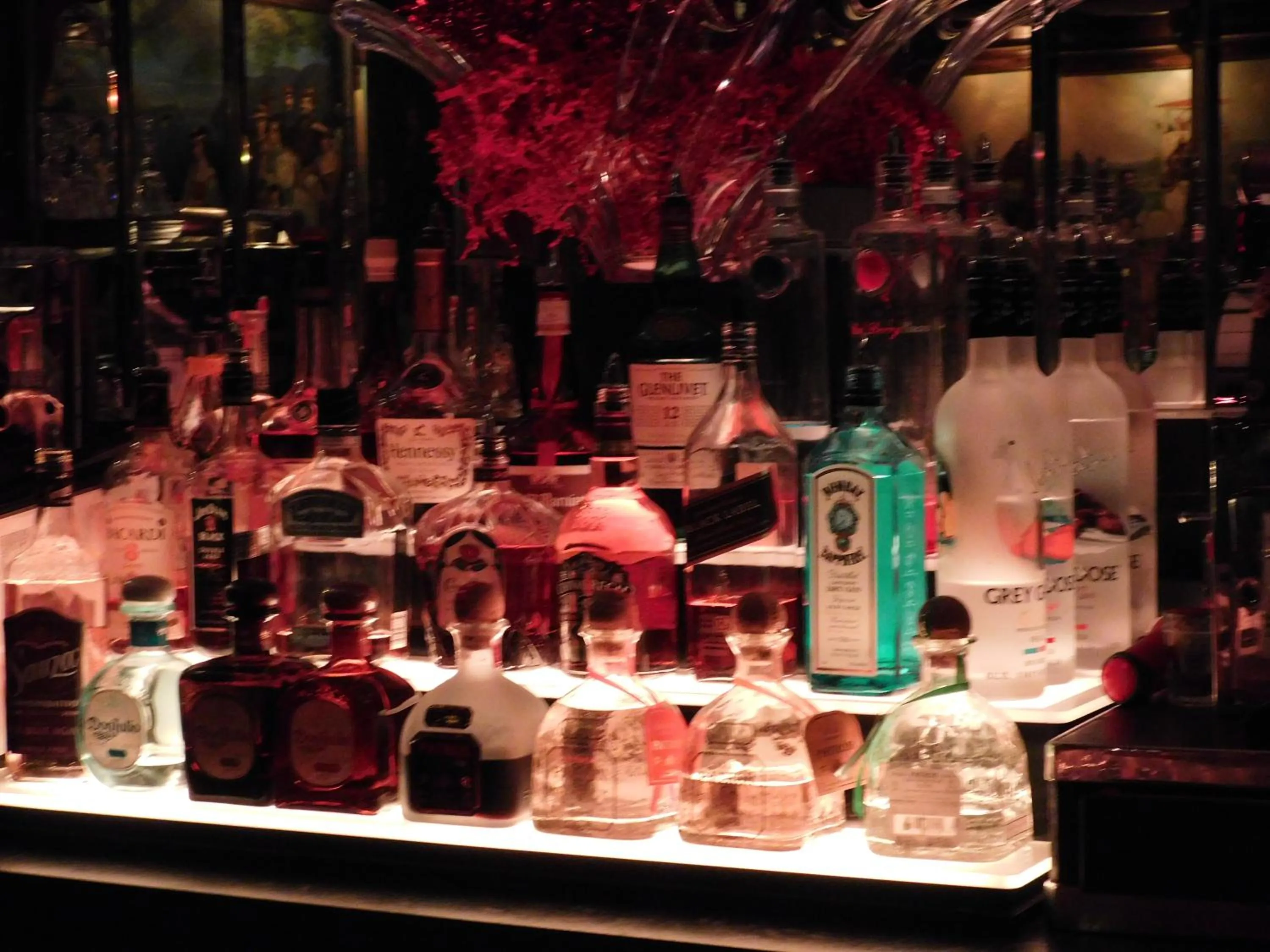 Lounge or bar in West Gate Inn Nyack