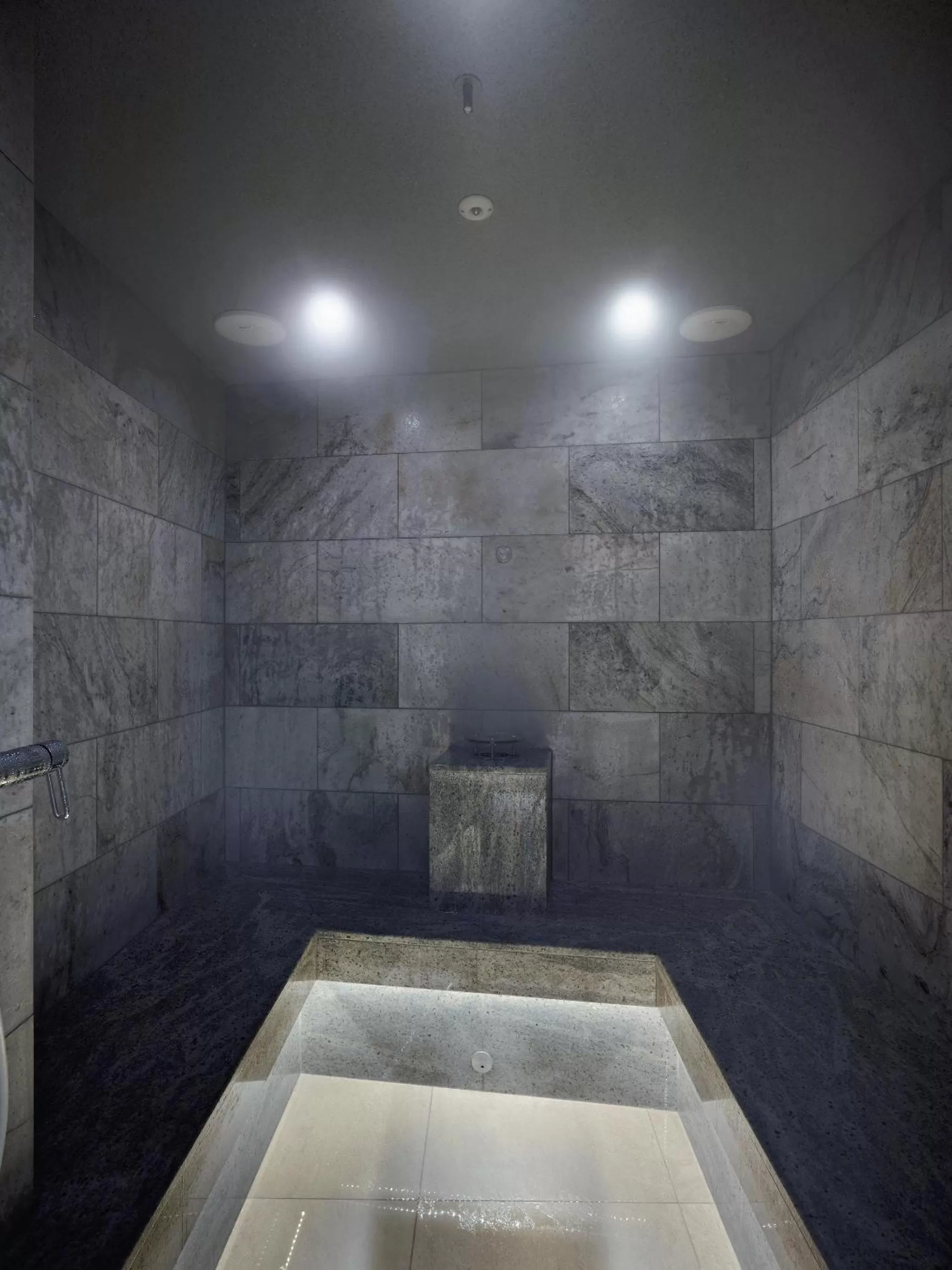 Spa and wellness centre/facilities in Hotel Sans Souci Wien