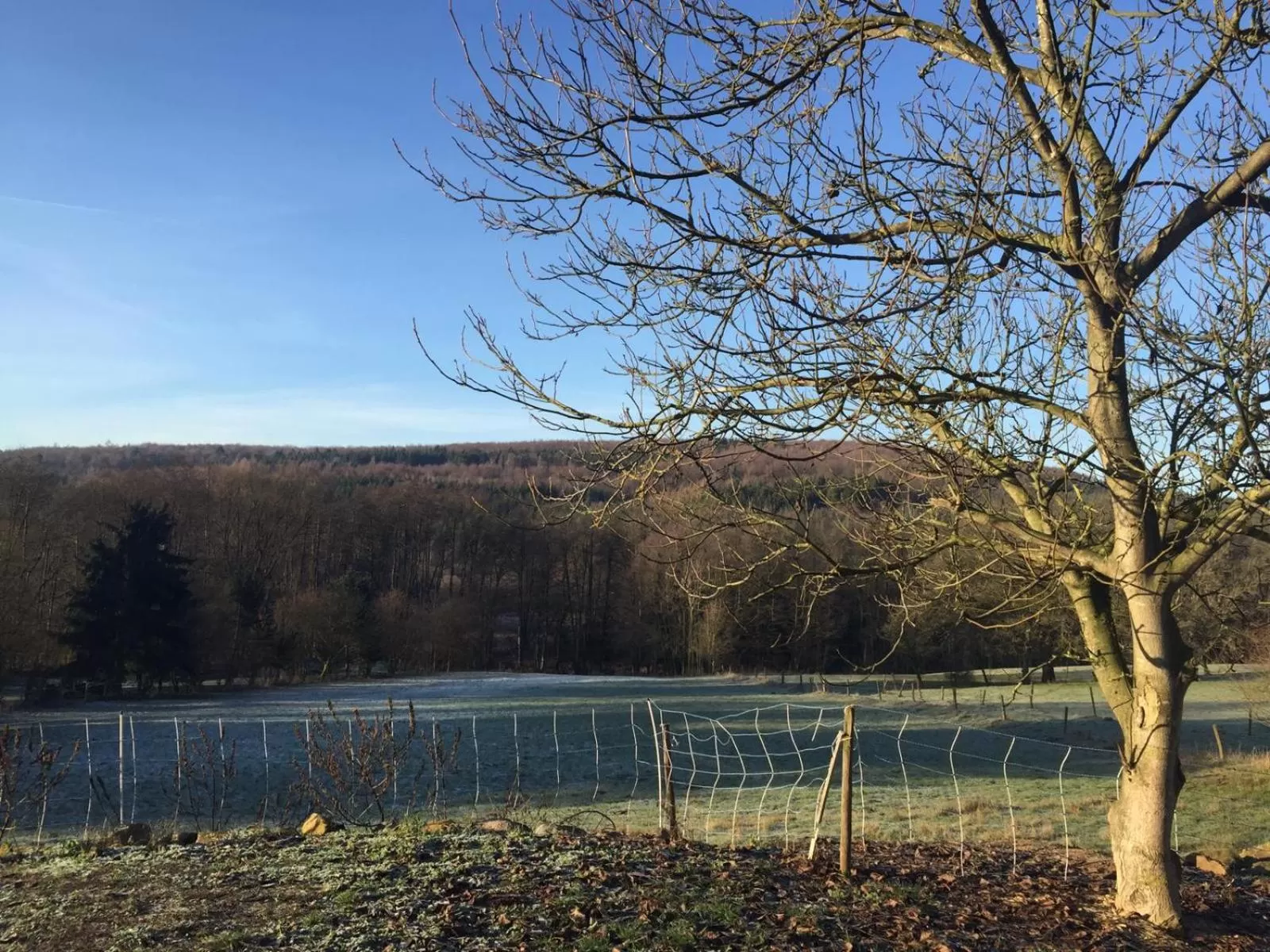 Natural landscape in kleinHOTEL Steinau-Rabenstein GbR