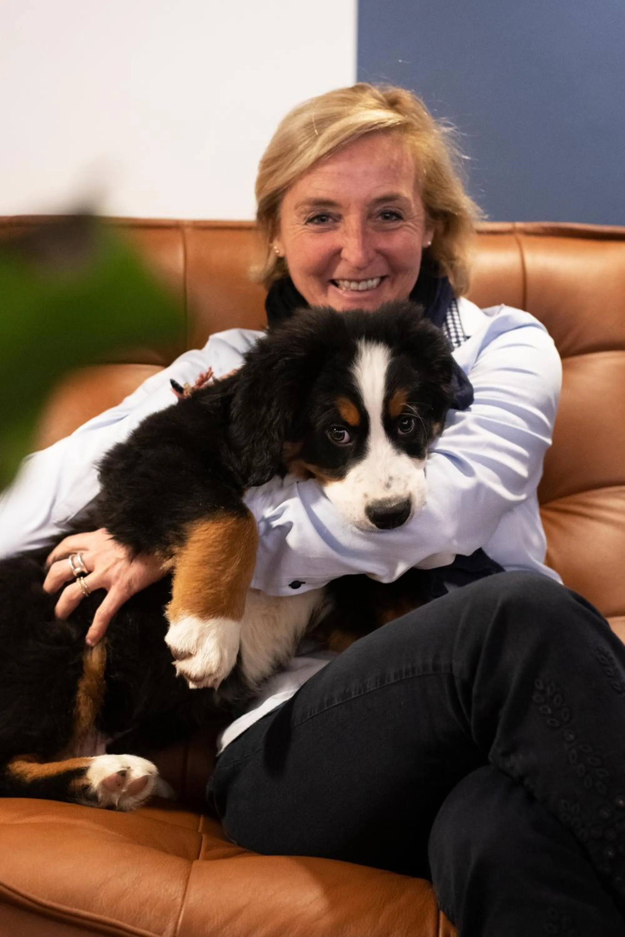 Pets in Hotel Olympic - Montana Center