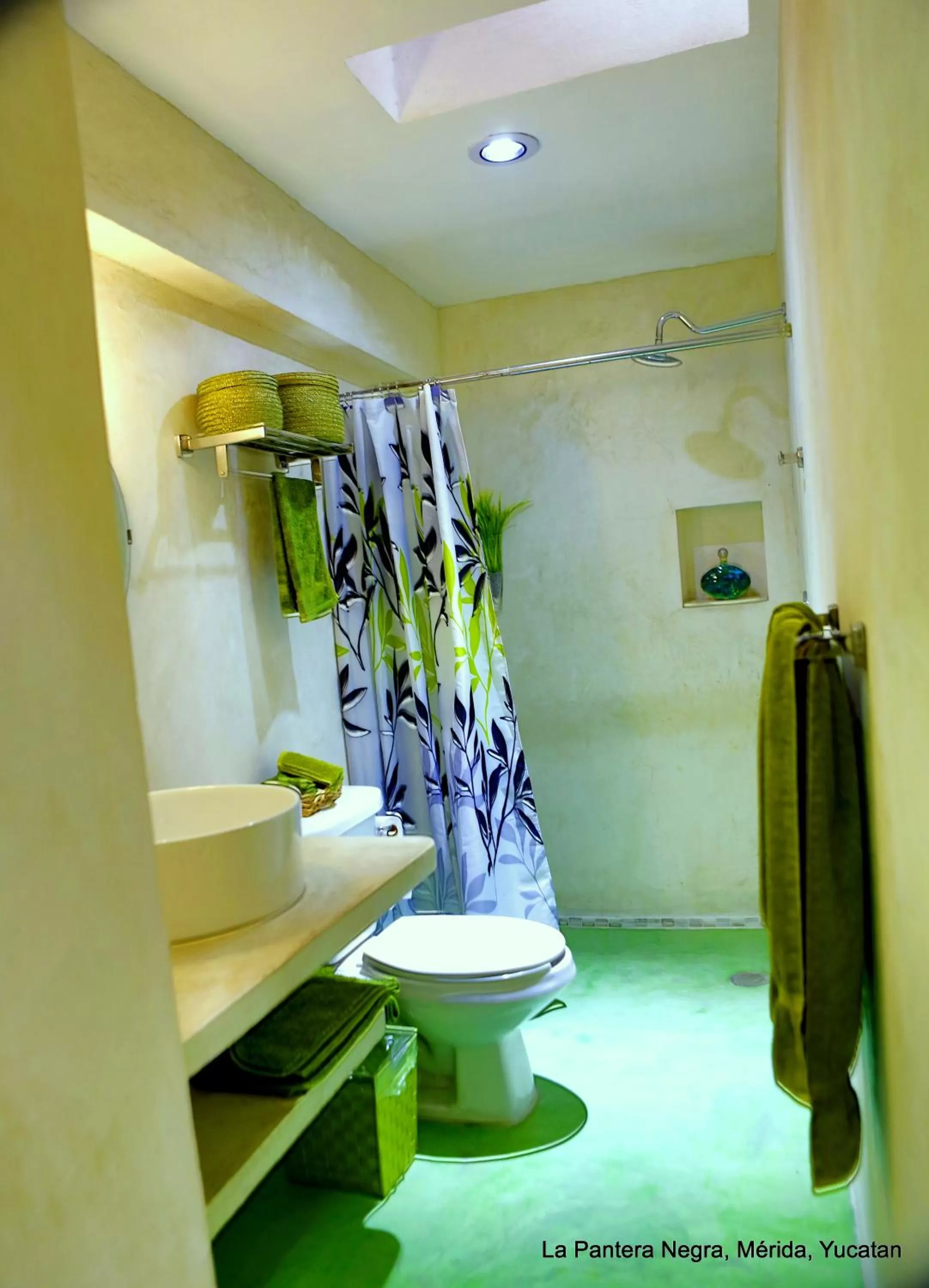 Toilet in La Pantera Negra