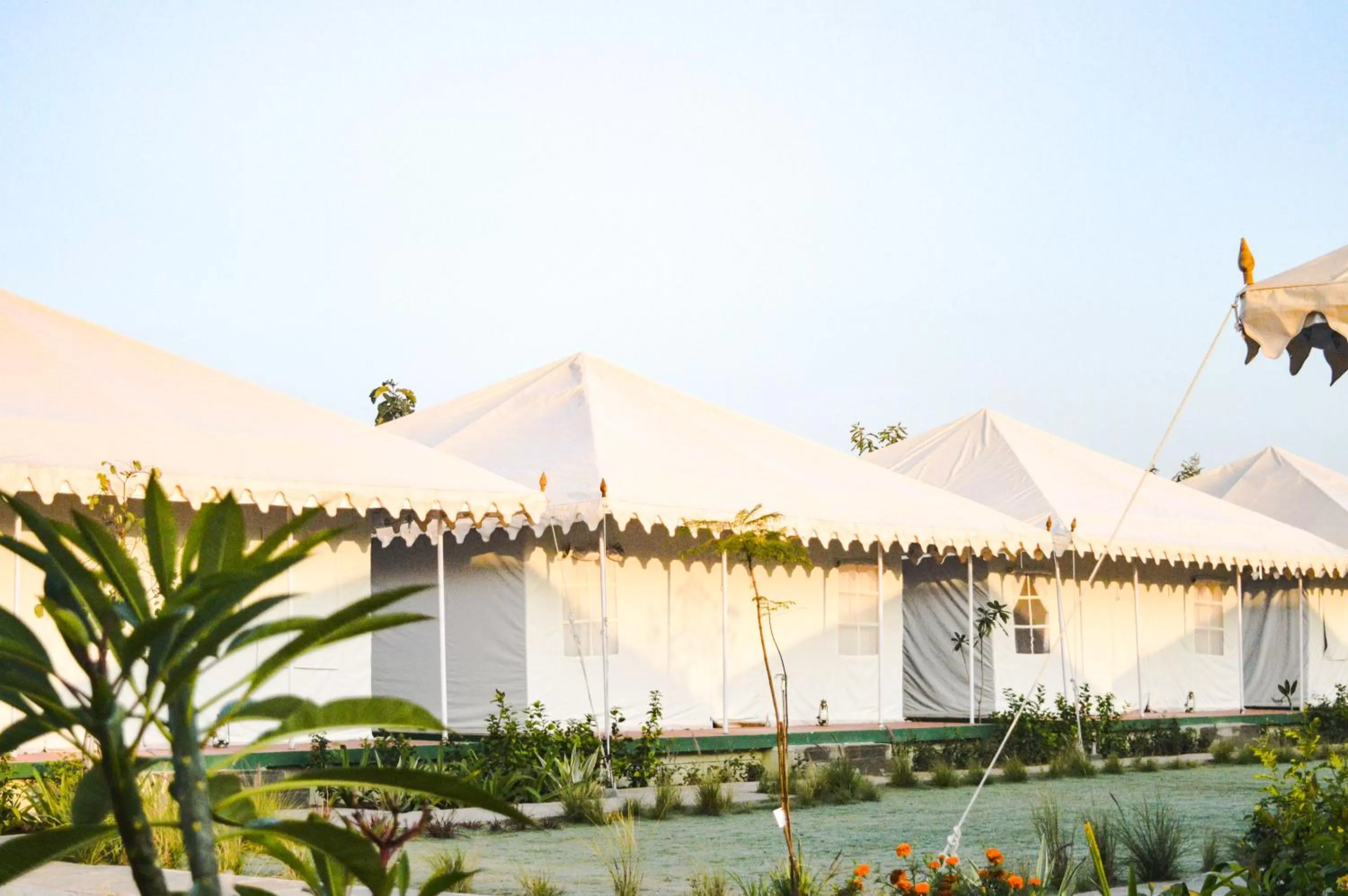 Bird's eye view in Madho Bagh