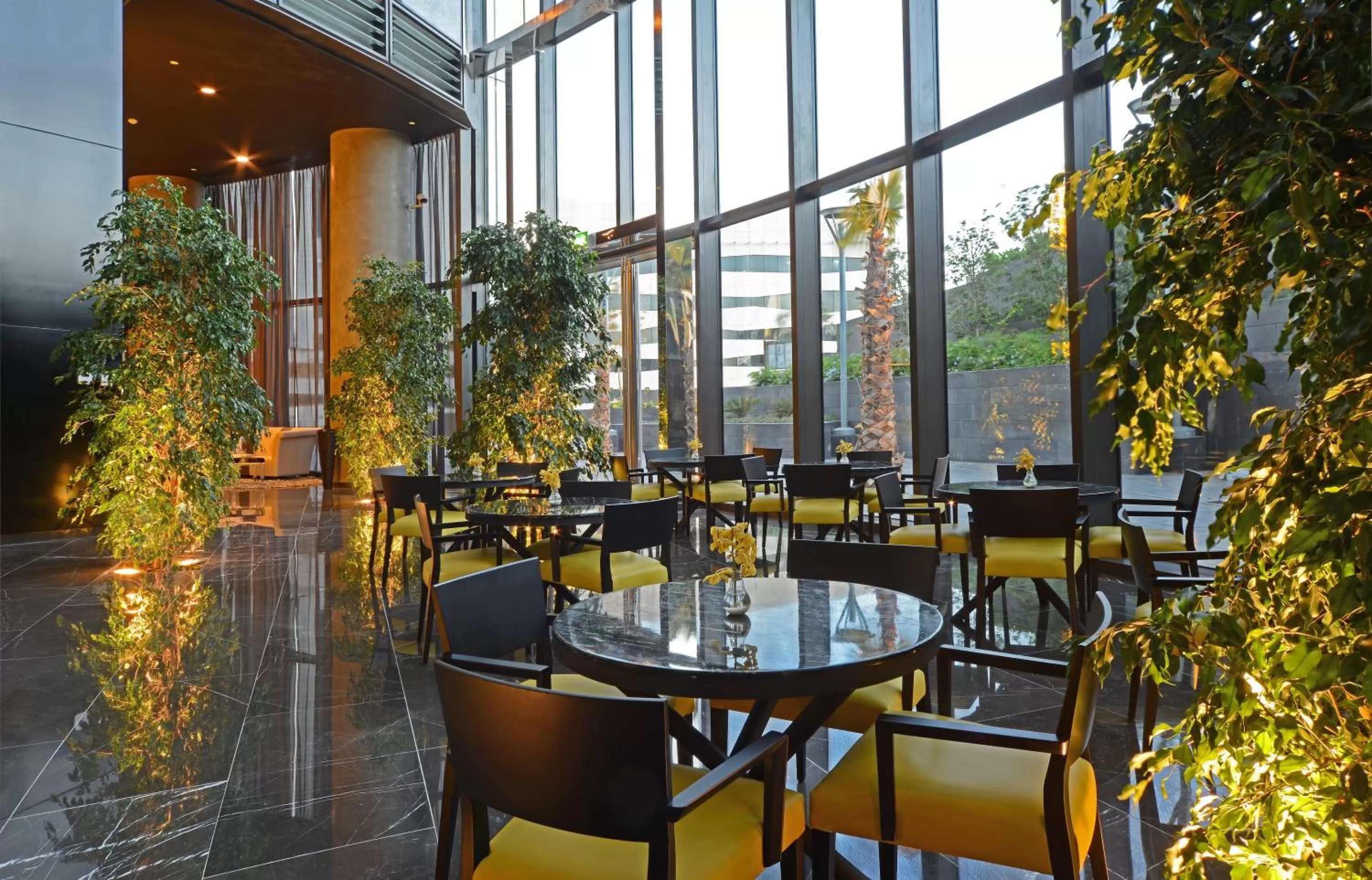 Drinks in Amman Rotana