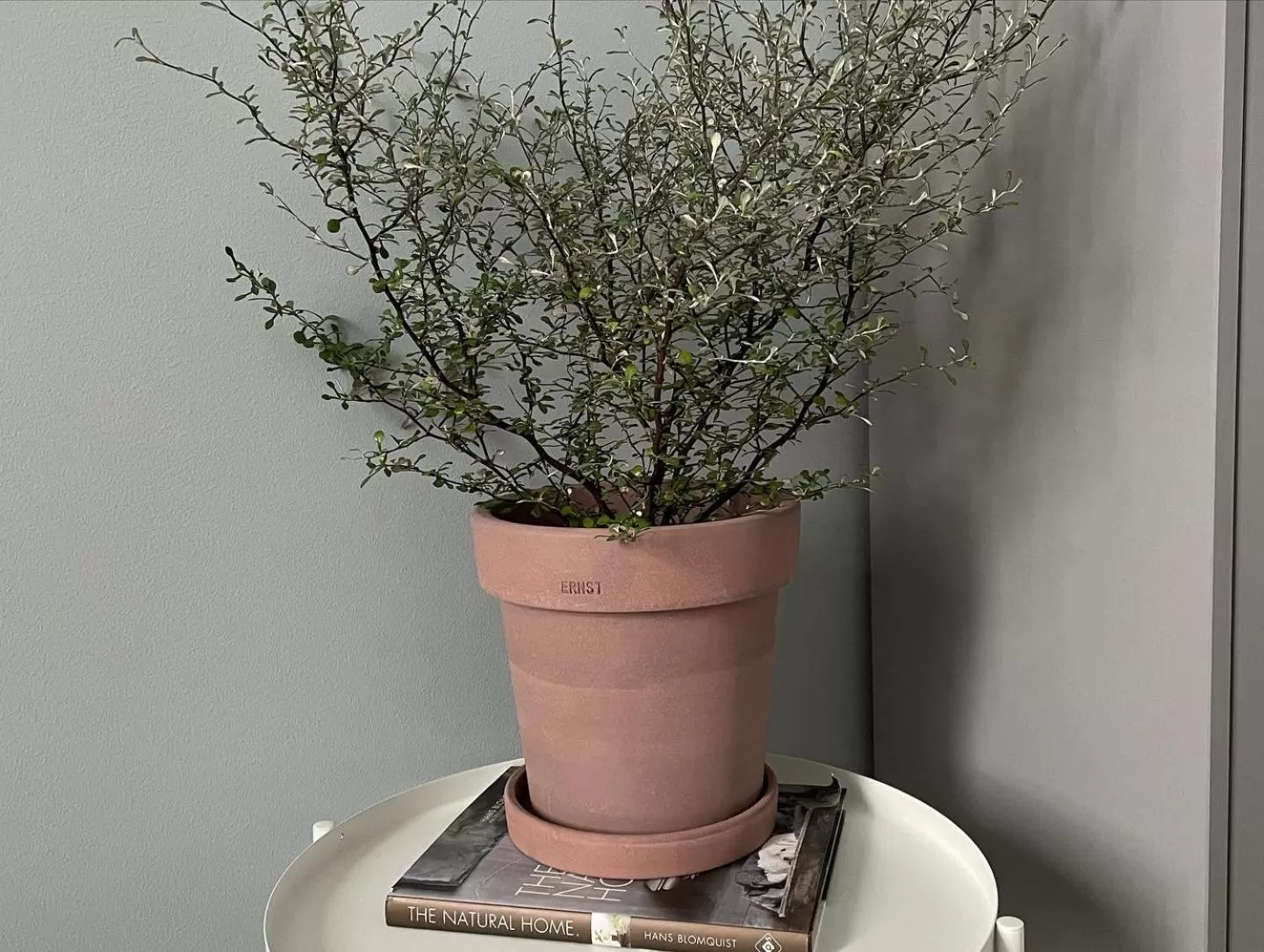 Berglings Boutique Hotell