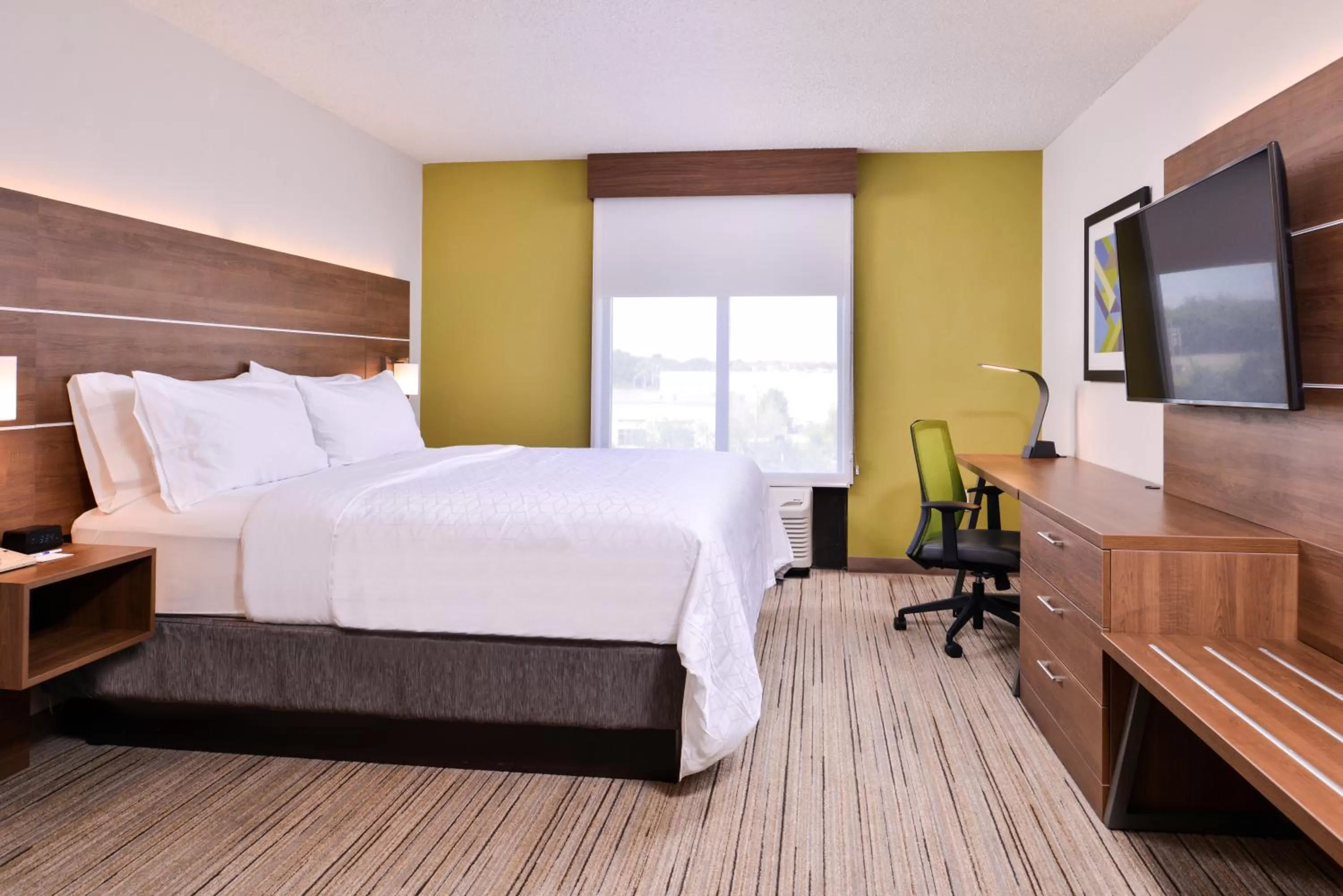 Photo of the whole room, Bed in Holiday Inn Express Hotel & Suites Tampa-Anderson Road-Veterans Exp by IHG