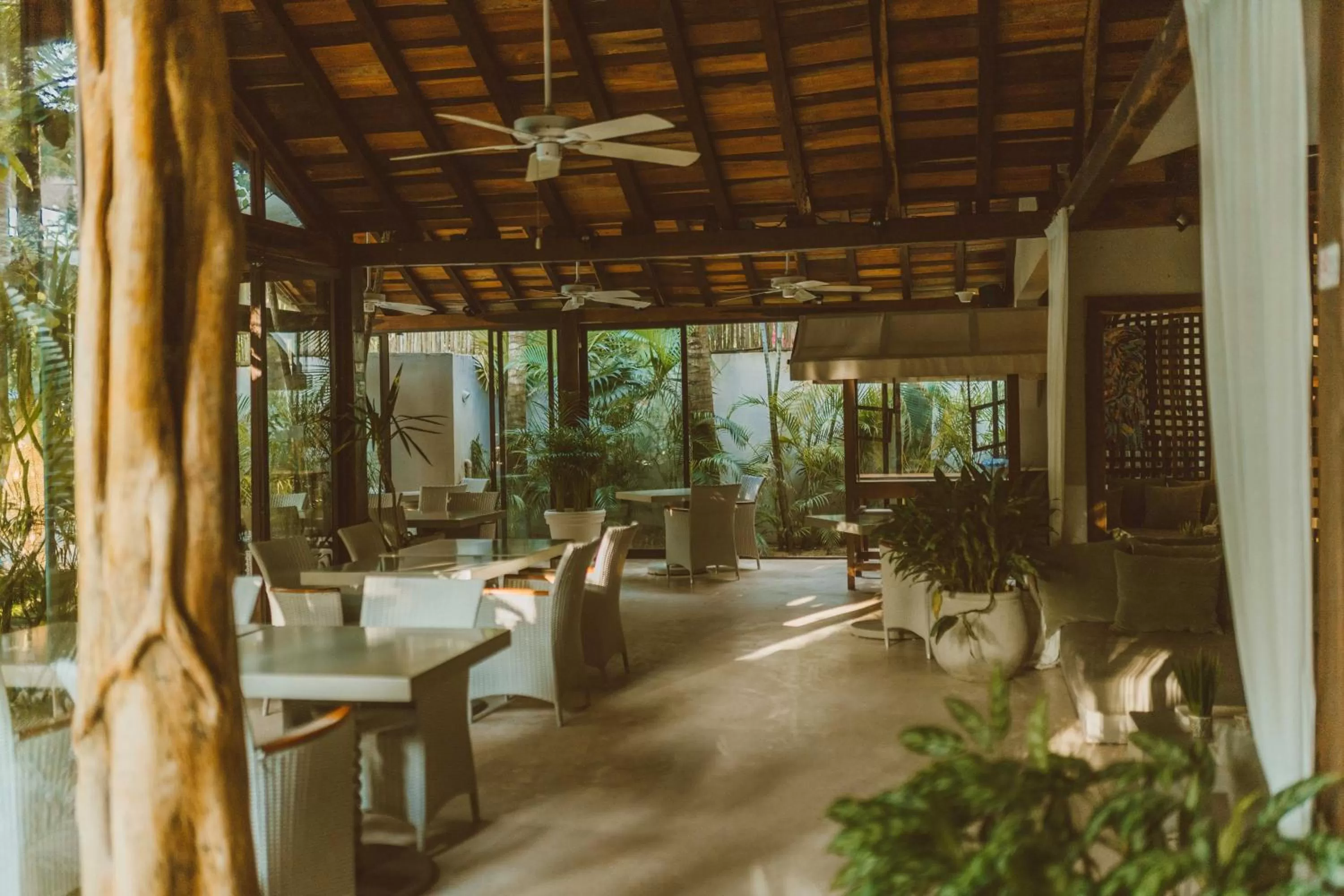 Restaurant/places to eat in Jashita Hotel