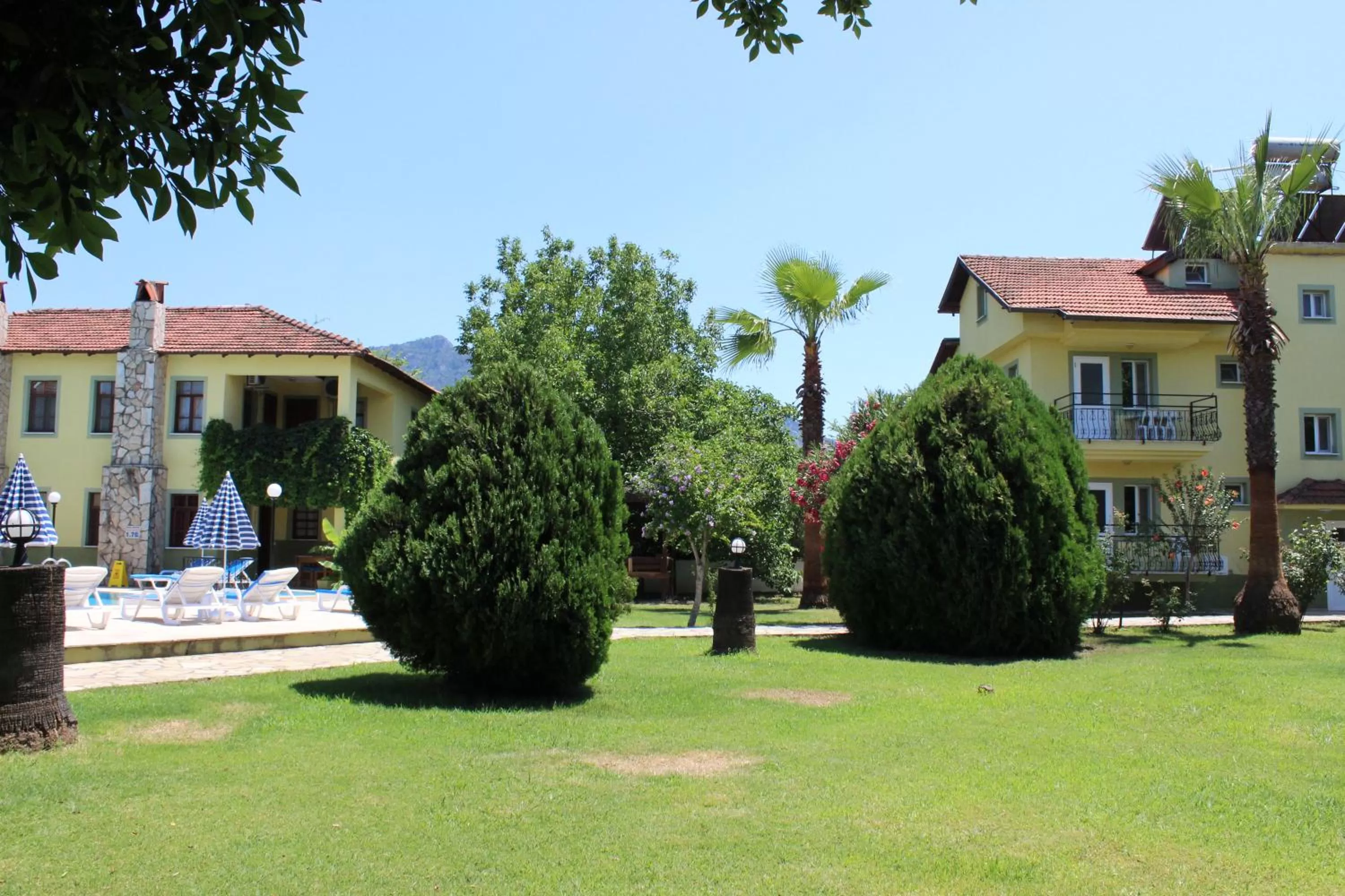 Garden in Summer Life Villa Apart