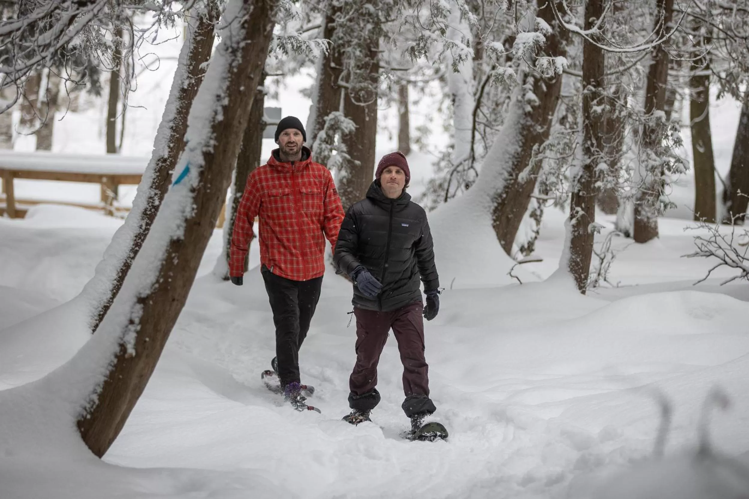 Activities in Blue Mountain Resort Mosaic Suites