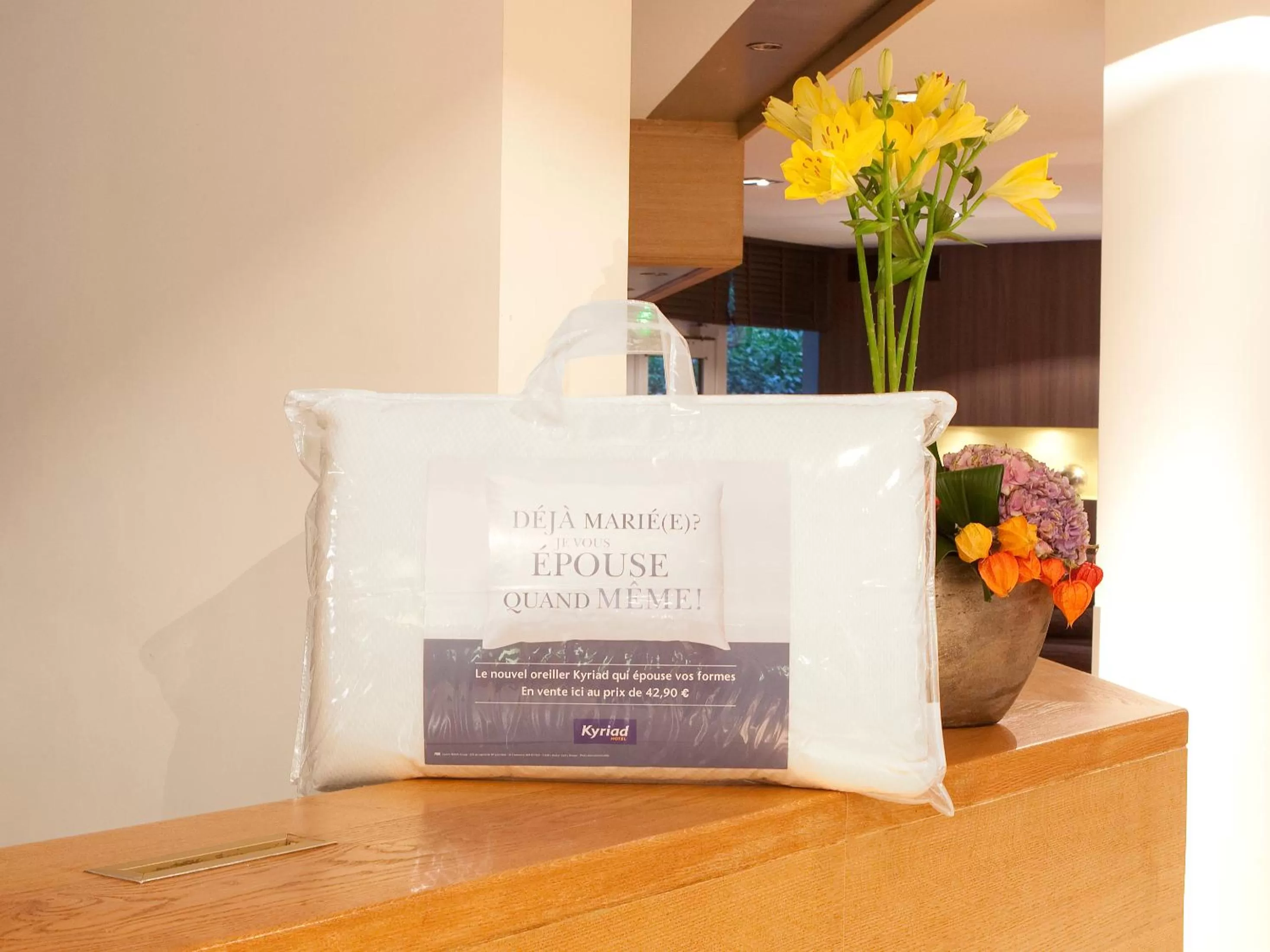 Area and facilities in Kyriad Angers Sud Ponts-De-Cé