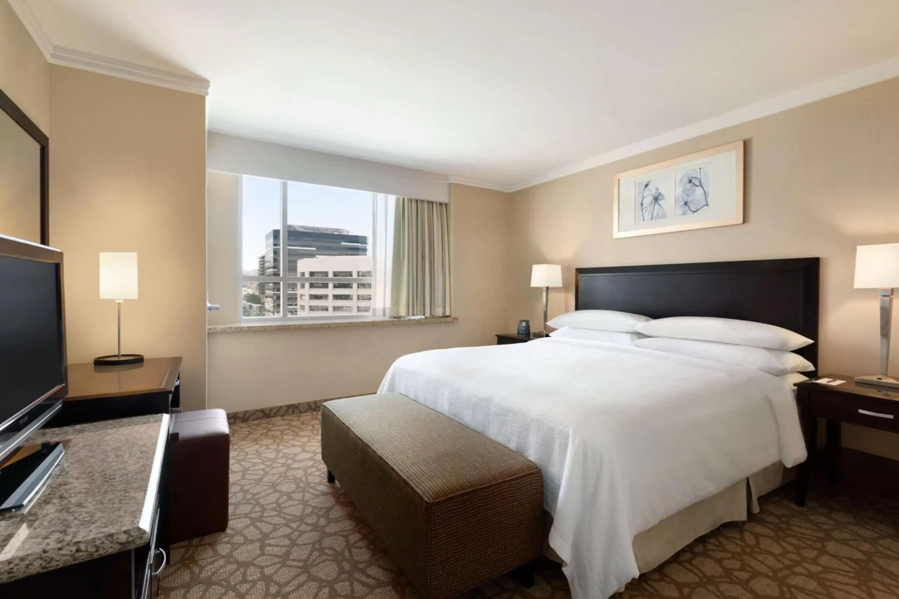 King Room with City View in Embassy Suites Los Angeles Glendale King Room with City View in Embassy Suites Los Angeles Glendale