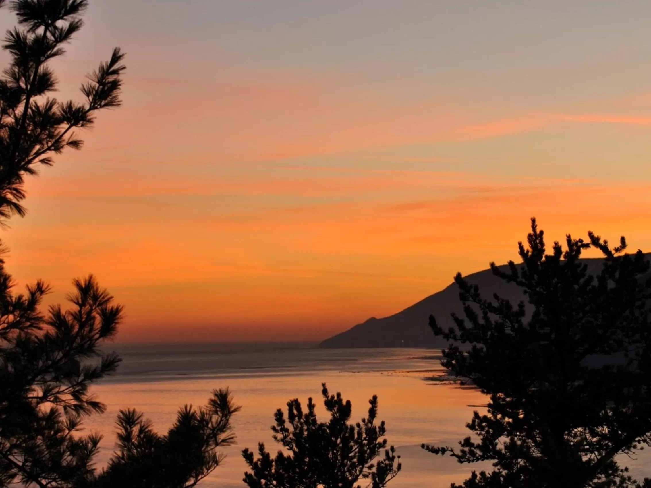 Area and facilities in Gîte Nature et Pinceaux