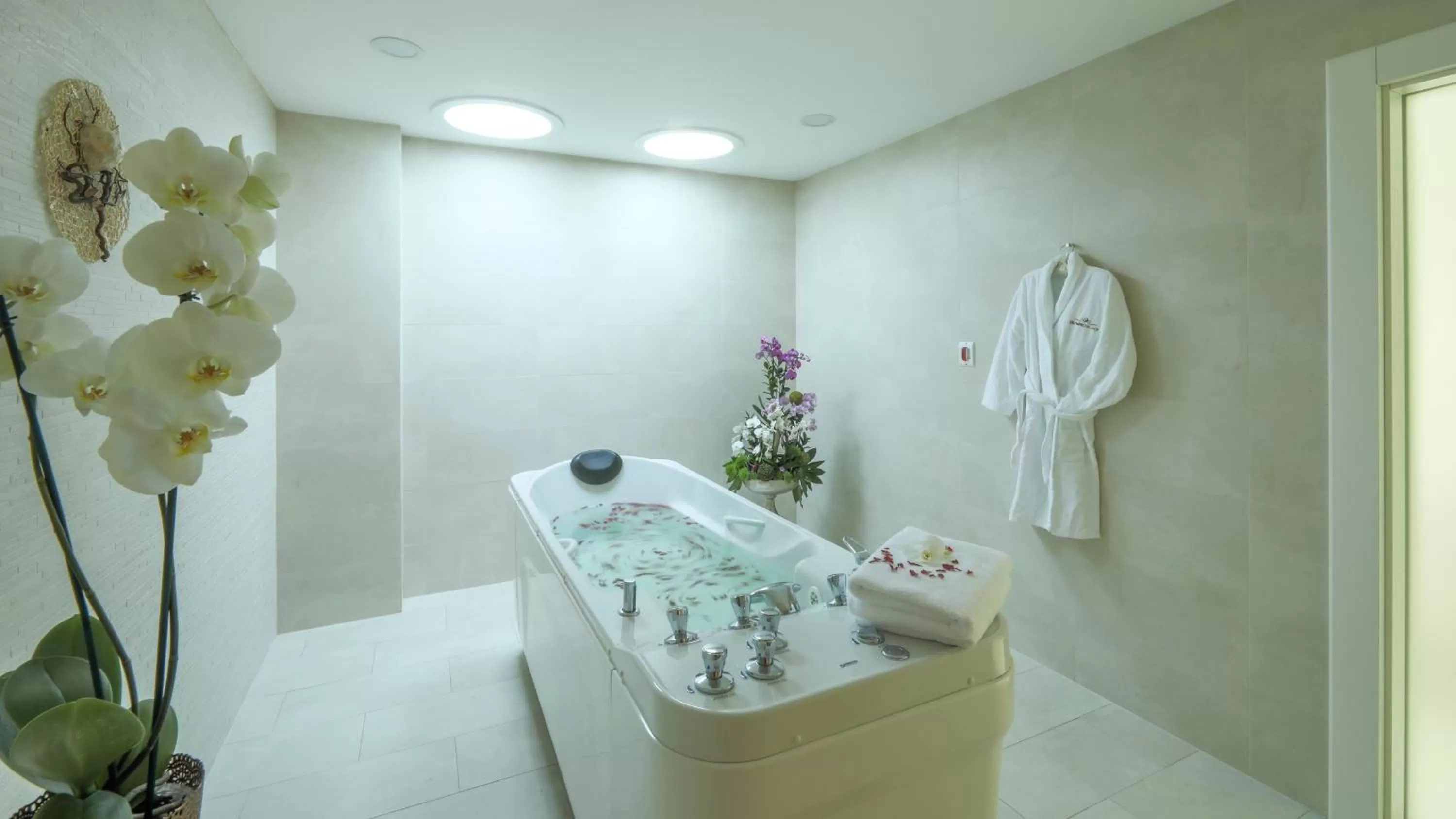 Spa and wellness centre/facilities in Luxury Spa Hotel Olympic Palace