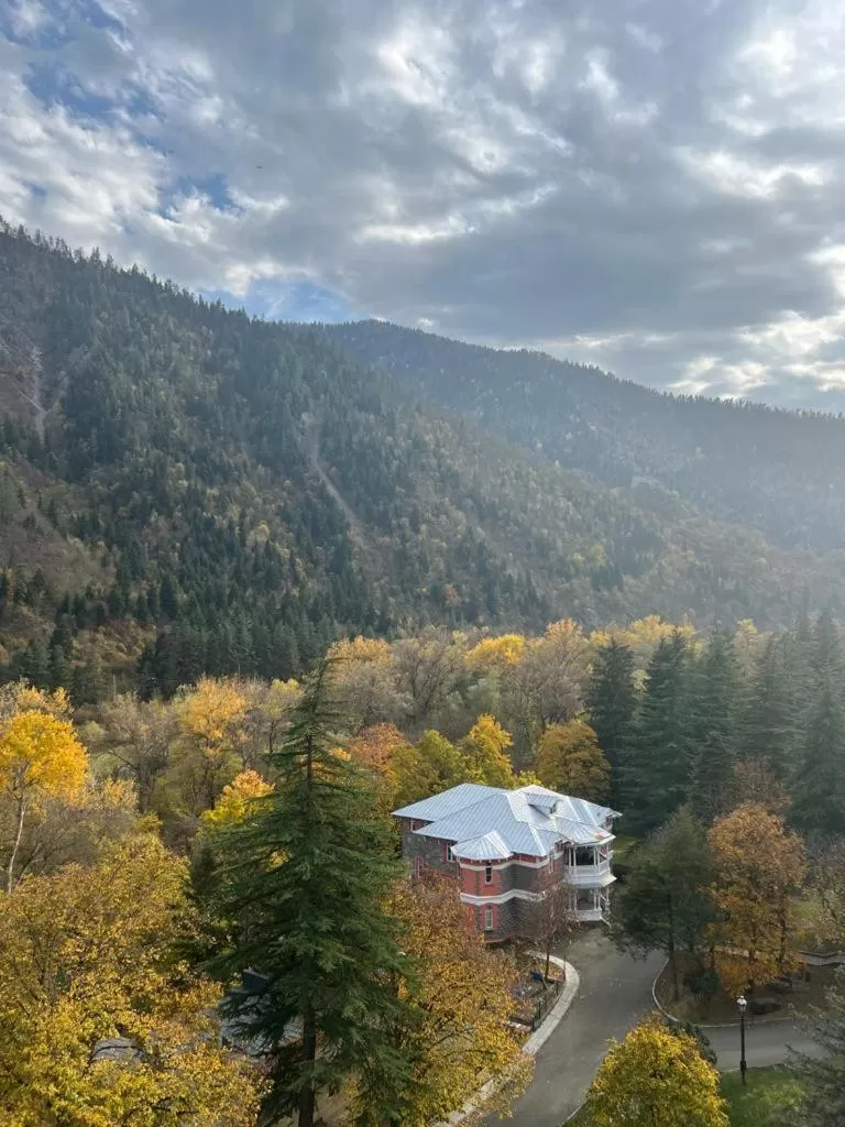 Other in Borjomi Likani Health & Spa Centre