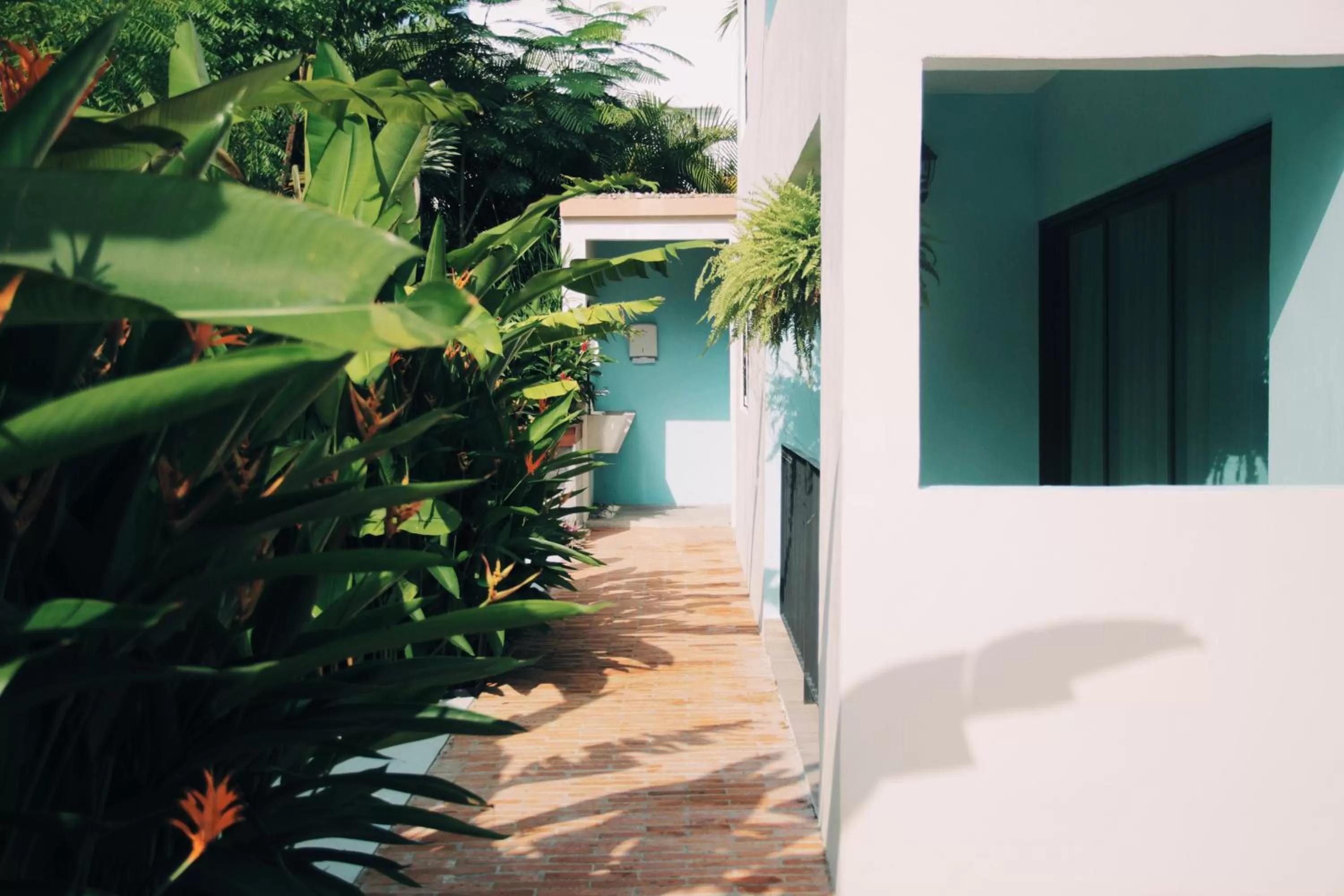 Property building in San Trópico Boutique Hotel & Peaceful Escape