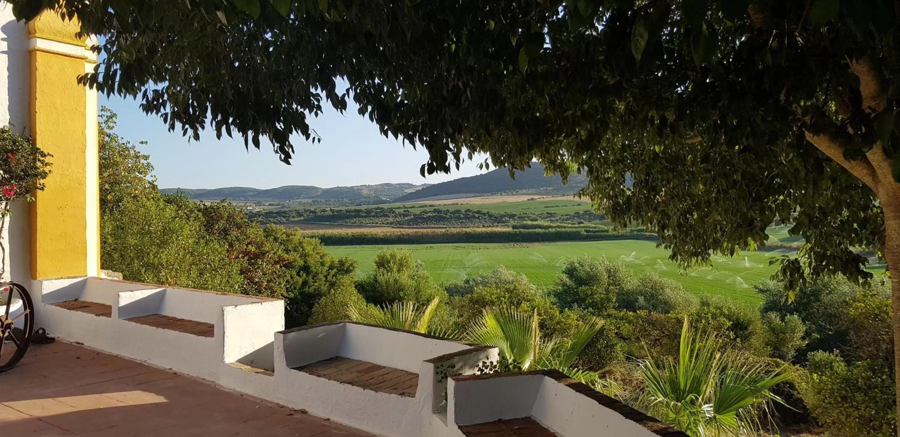 Garden in Hacienda El Santiscal